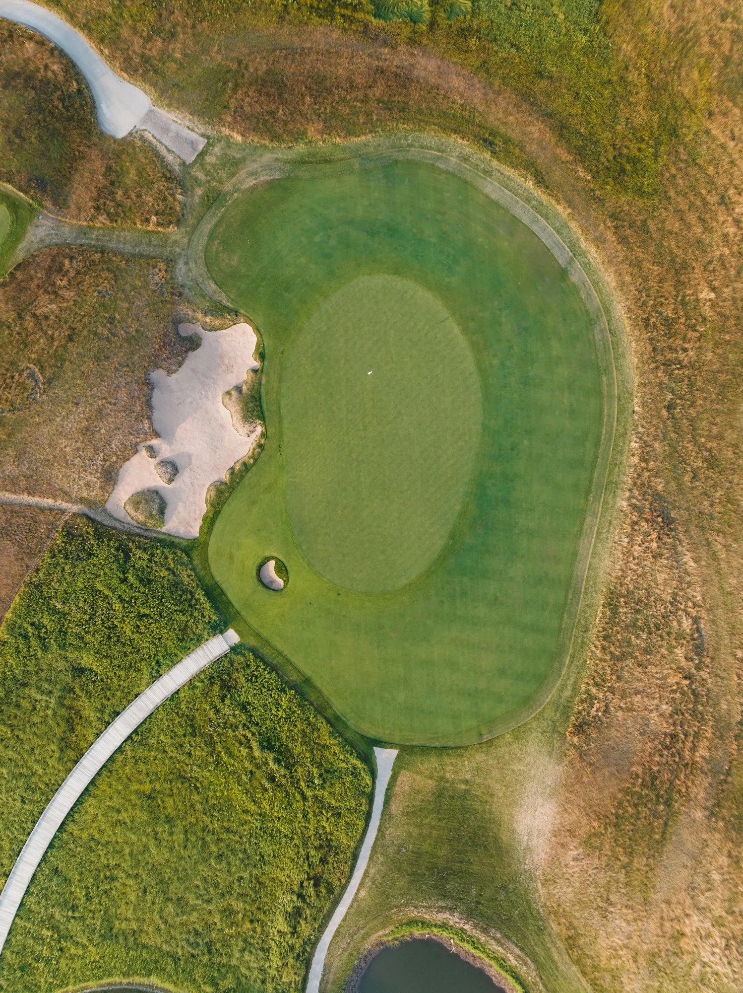 ERIN HILLS 2023 - Marsh - 124.JPG
