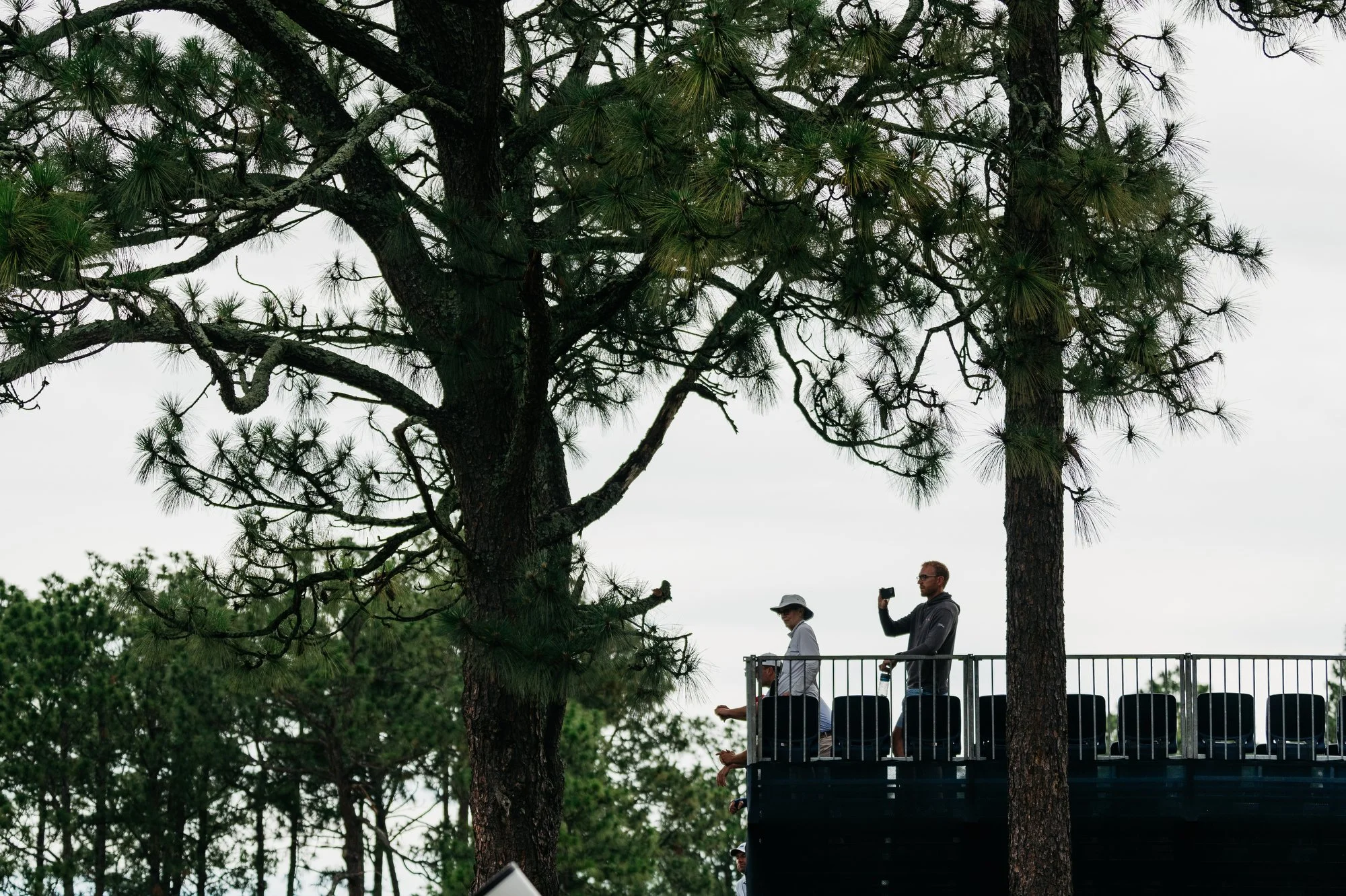 US Open Pinehurst Photos Marsh 10.JPG