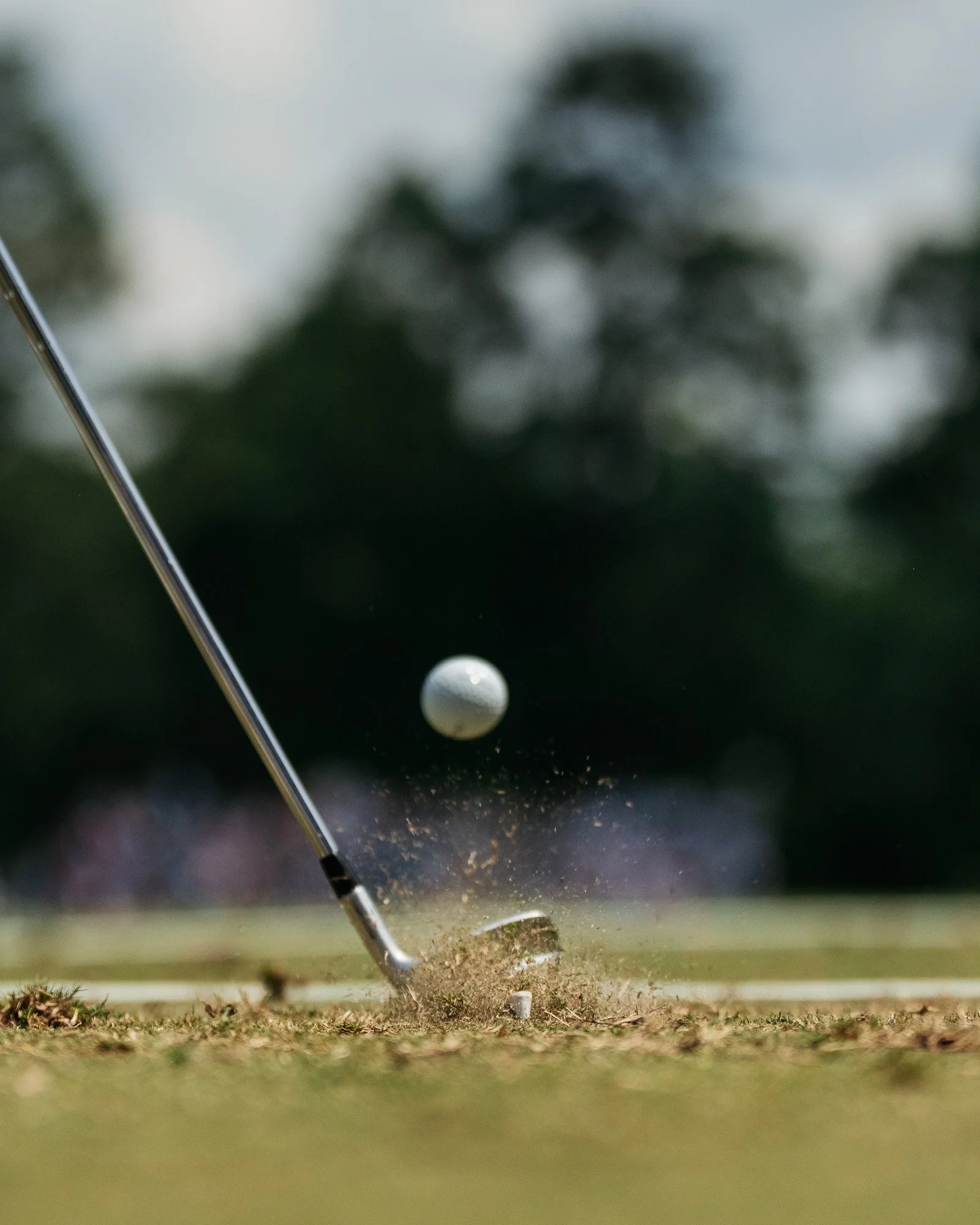US Open Pinehurst Photos Marsh 38.JPG