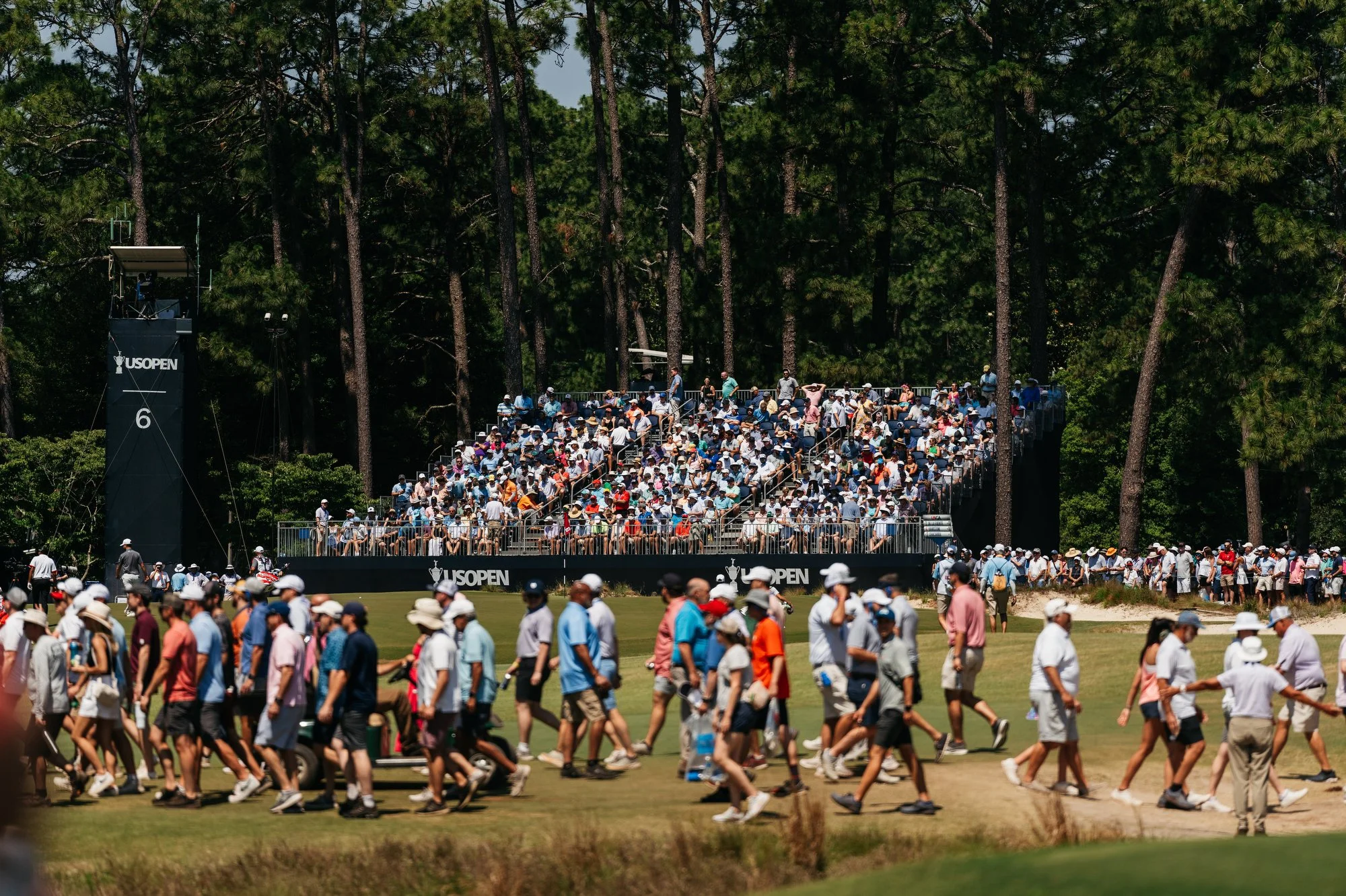 US Open Pinehurst Photos Marsh 113.JPG