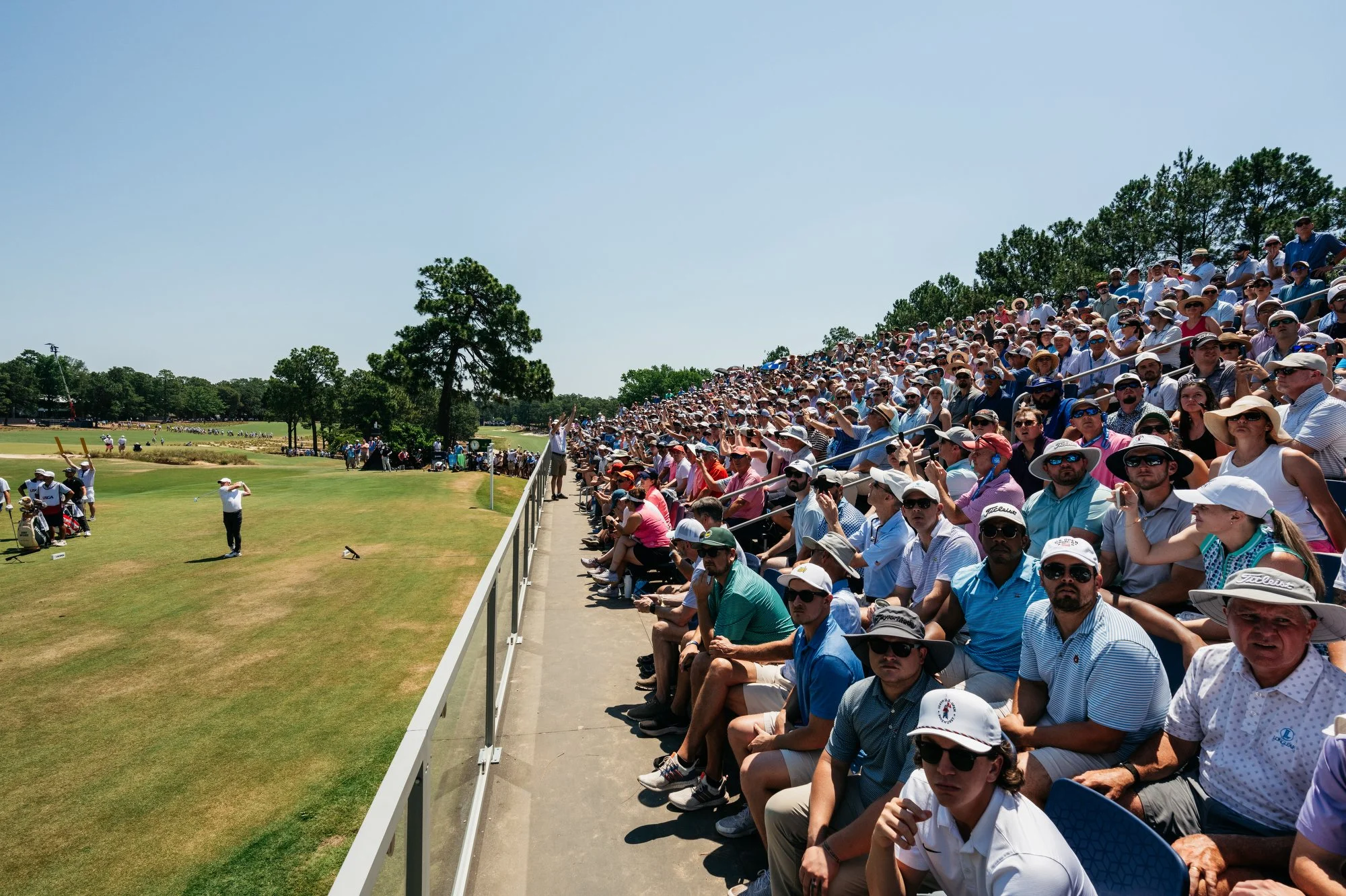 US Open Pinehurst Photos Marsh 120.JPG