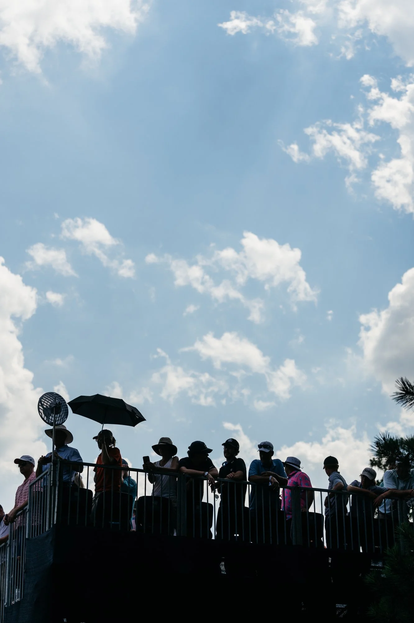 US Open Pinehurst Photos Marsh 127.JPG