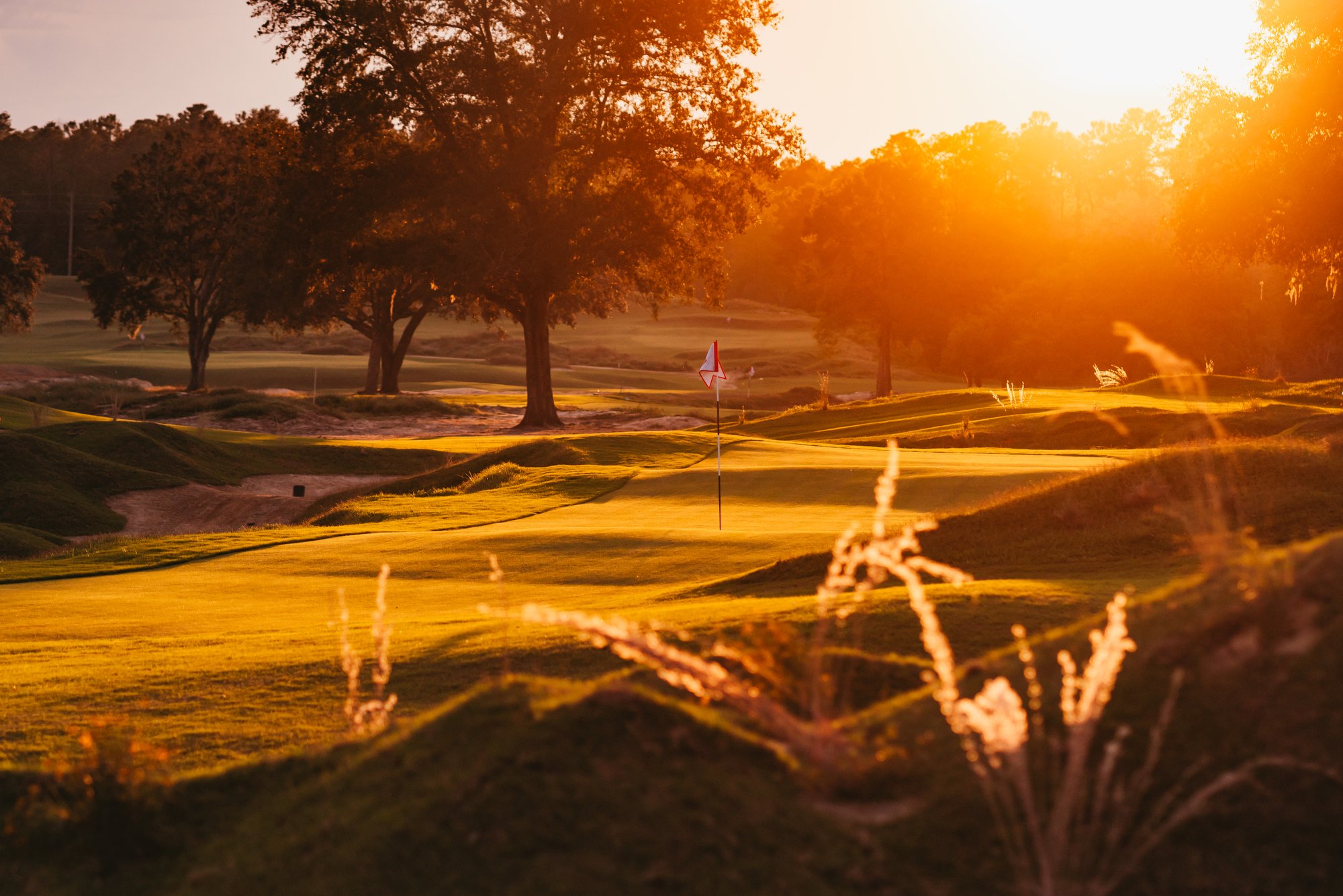 GOLF is art. 300 dpi - -512.JPG