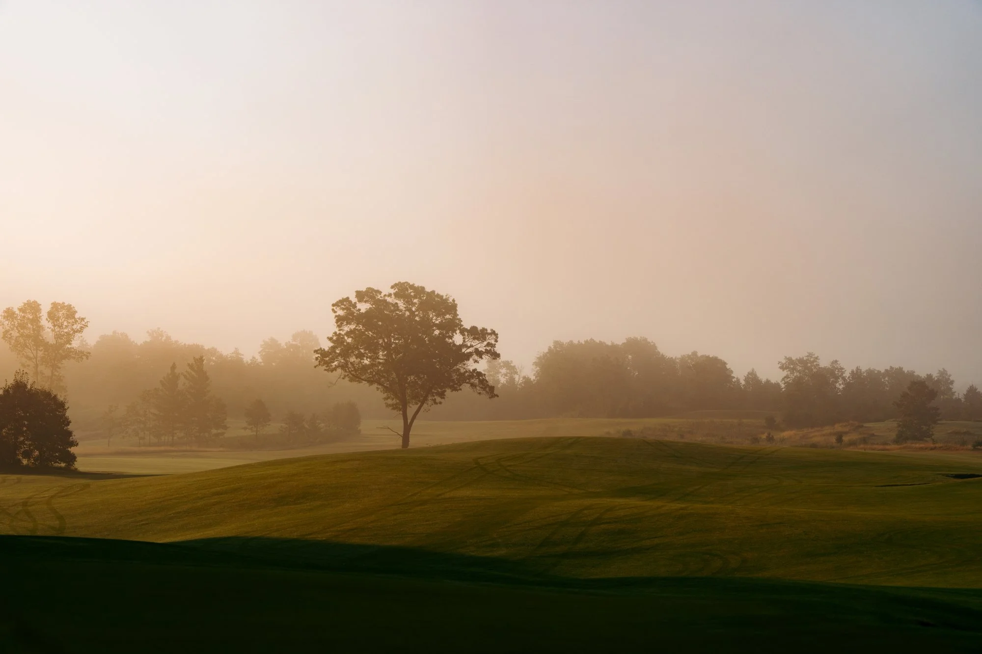Golf Photographer