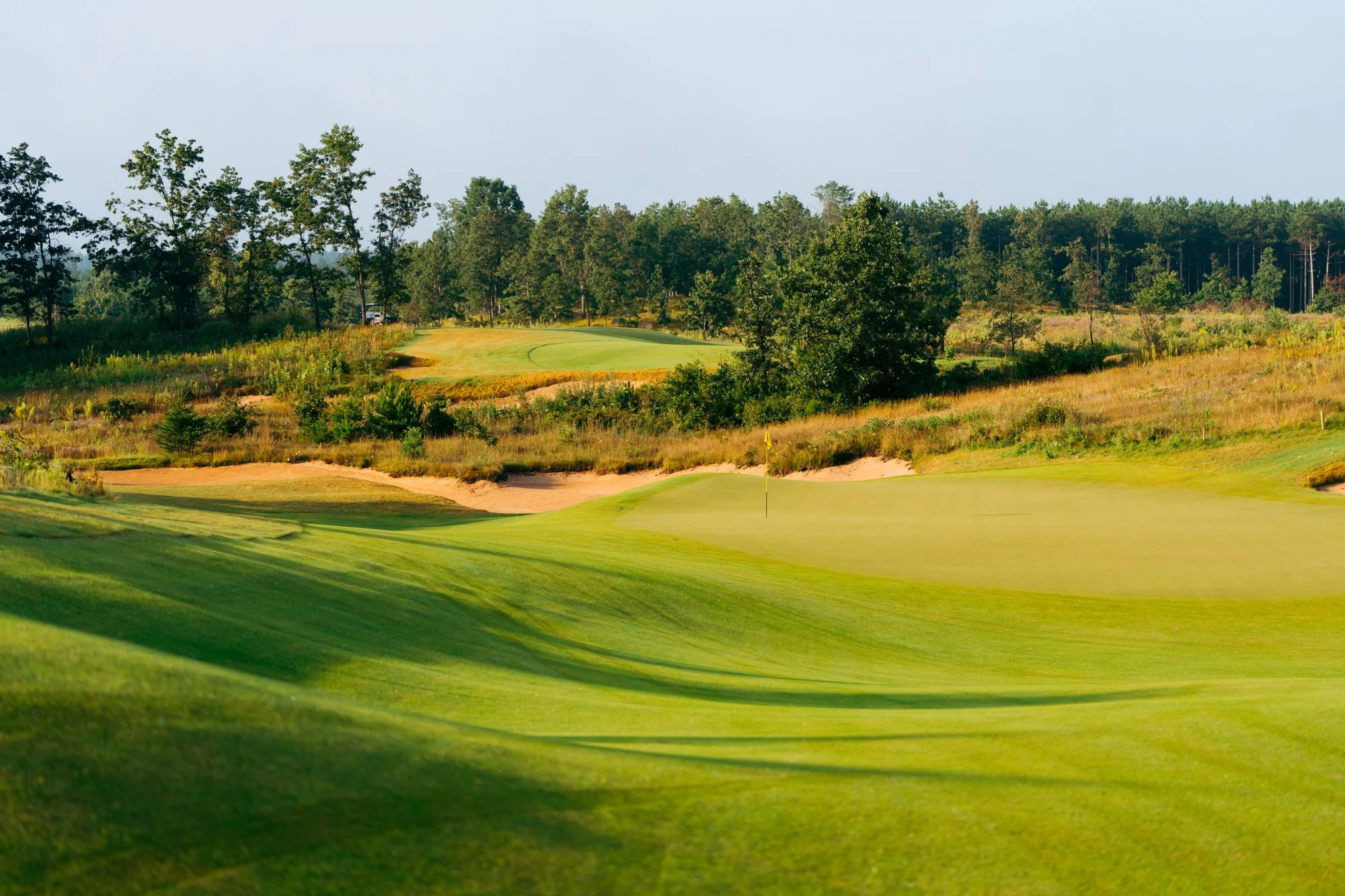 Sedge Valley '24 - Marsh -171.JPG