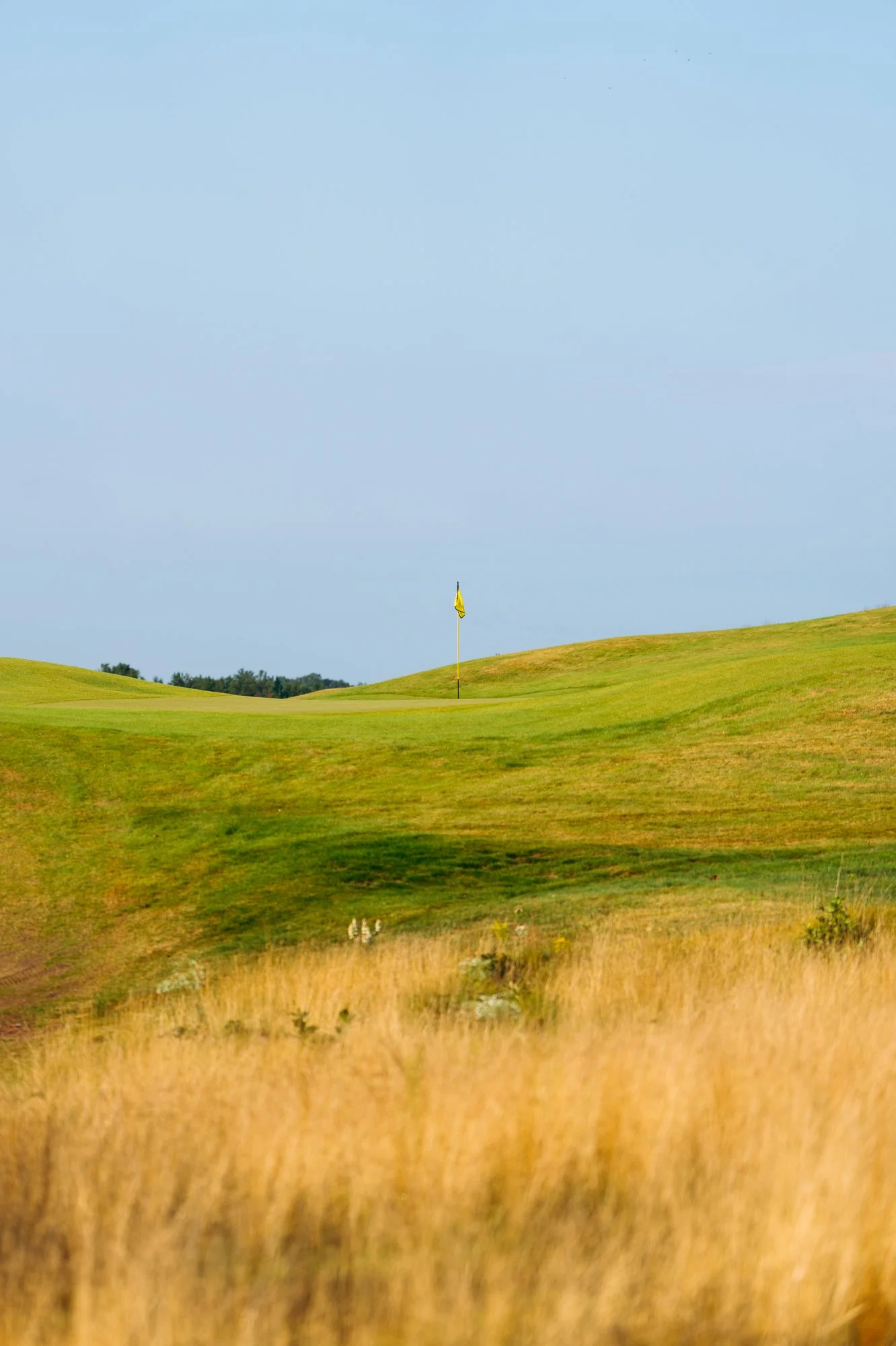 Golf Photographer