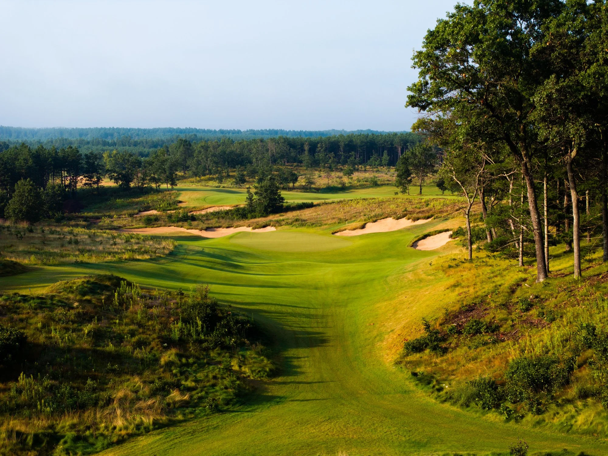 Sedge Valley '24 - Marsh -044.JPG