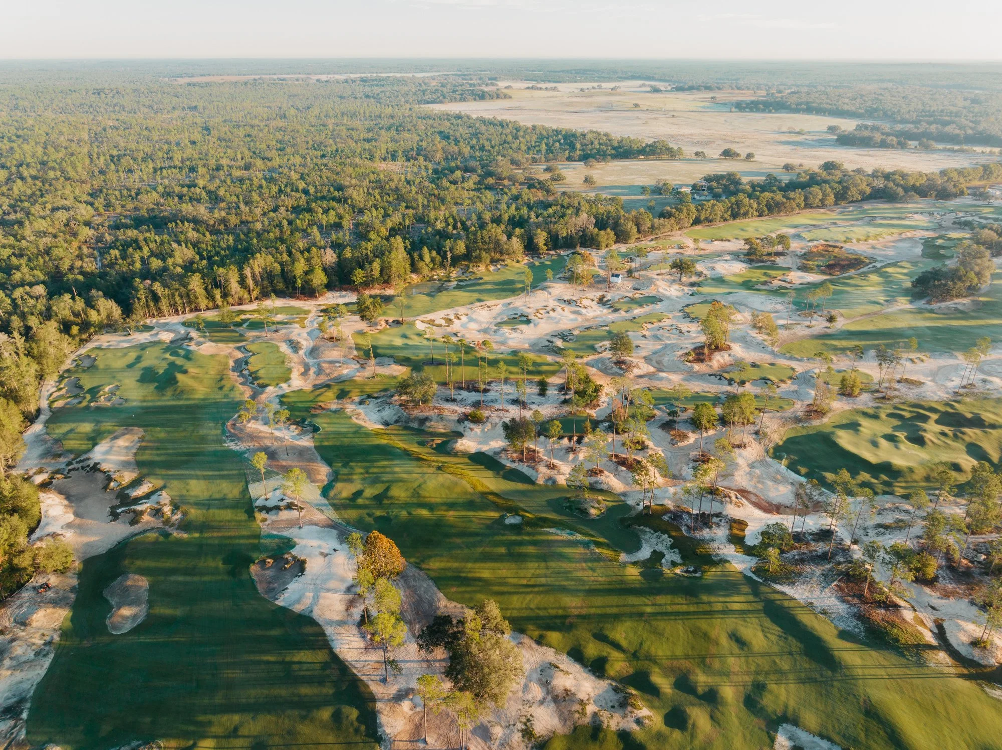 Citrus Aerial - Marsh - Fall '23-024.JPG