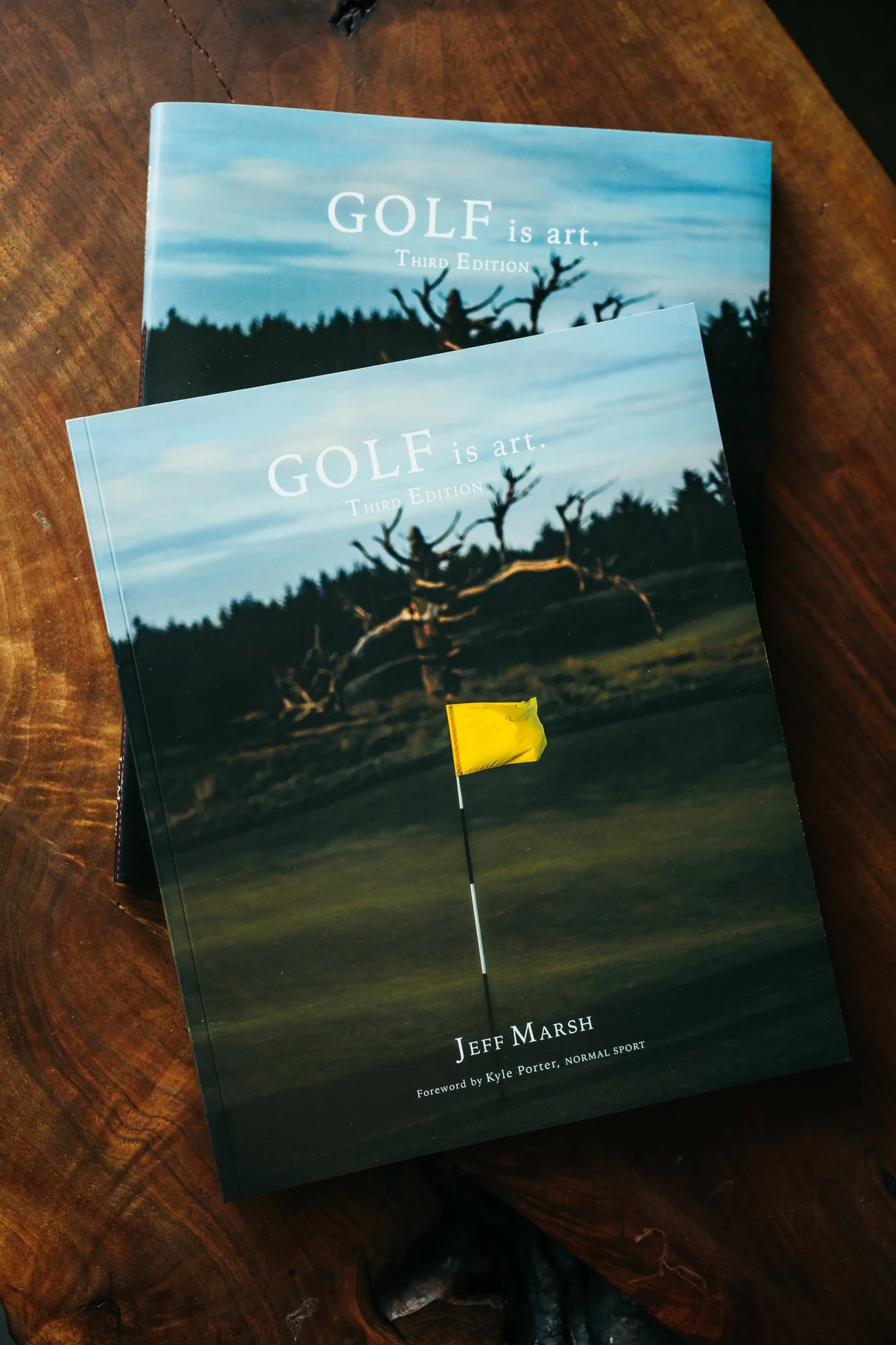 GOLF is art 3 photos-78.JPG