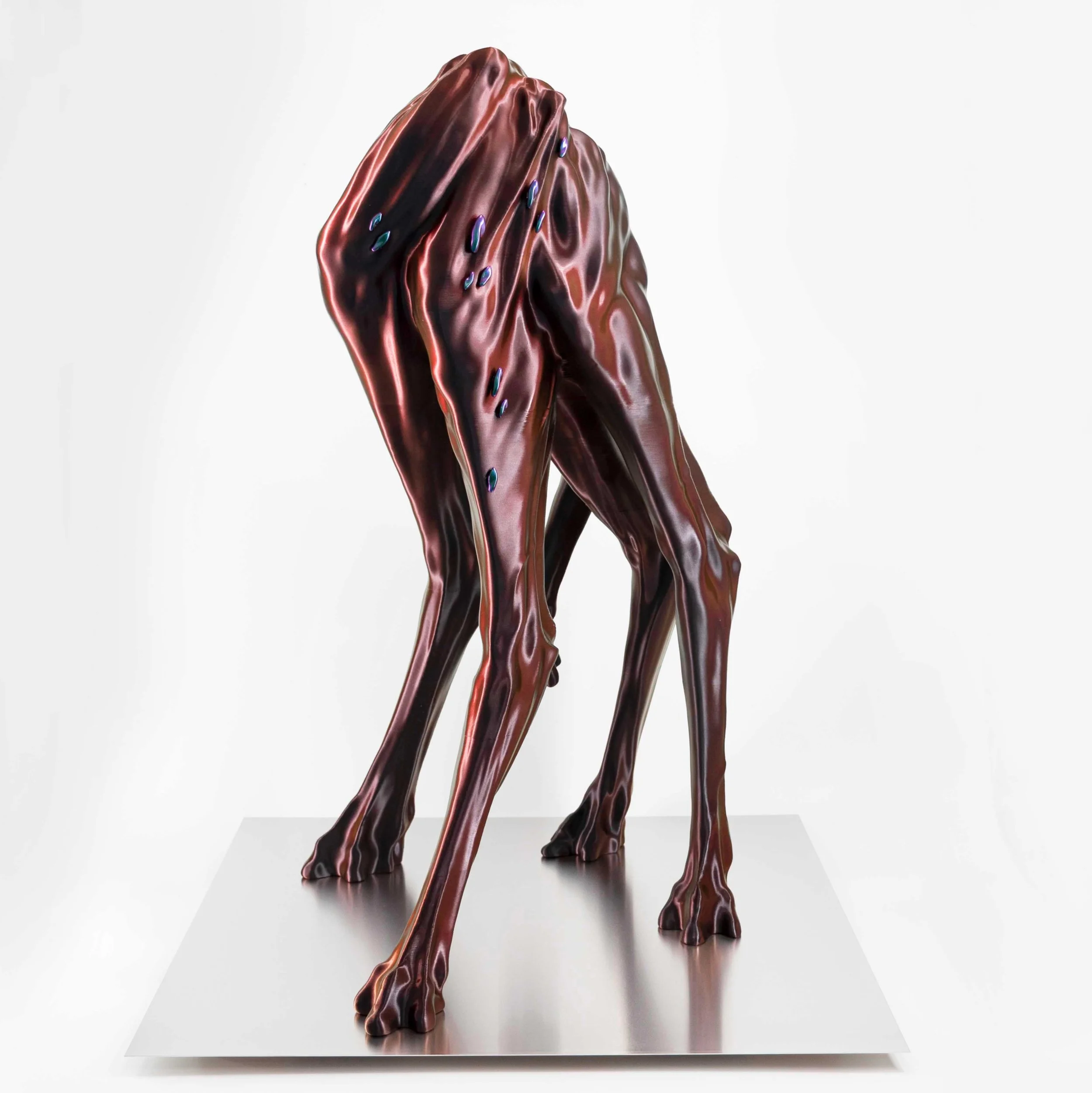 Chimera 1.1, 2023