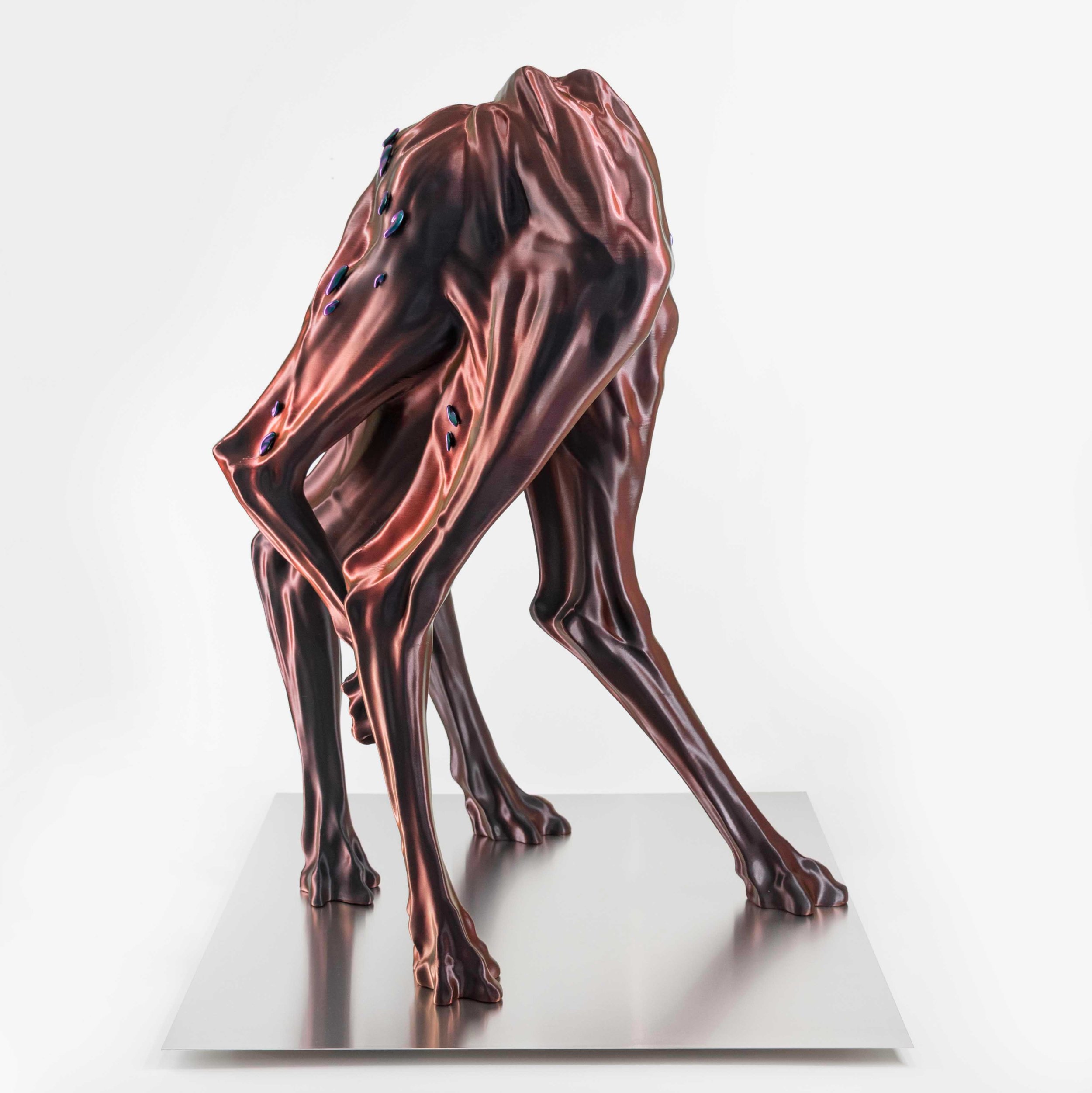chimera 1_1_LQ.jpg