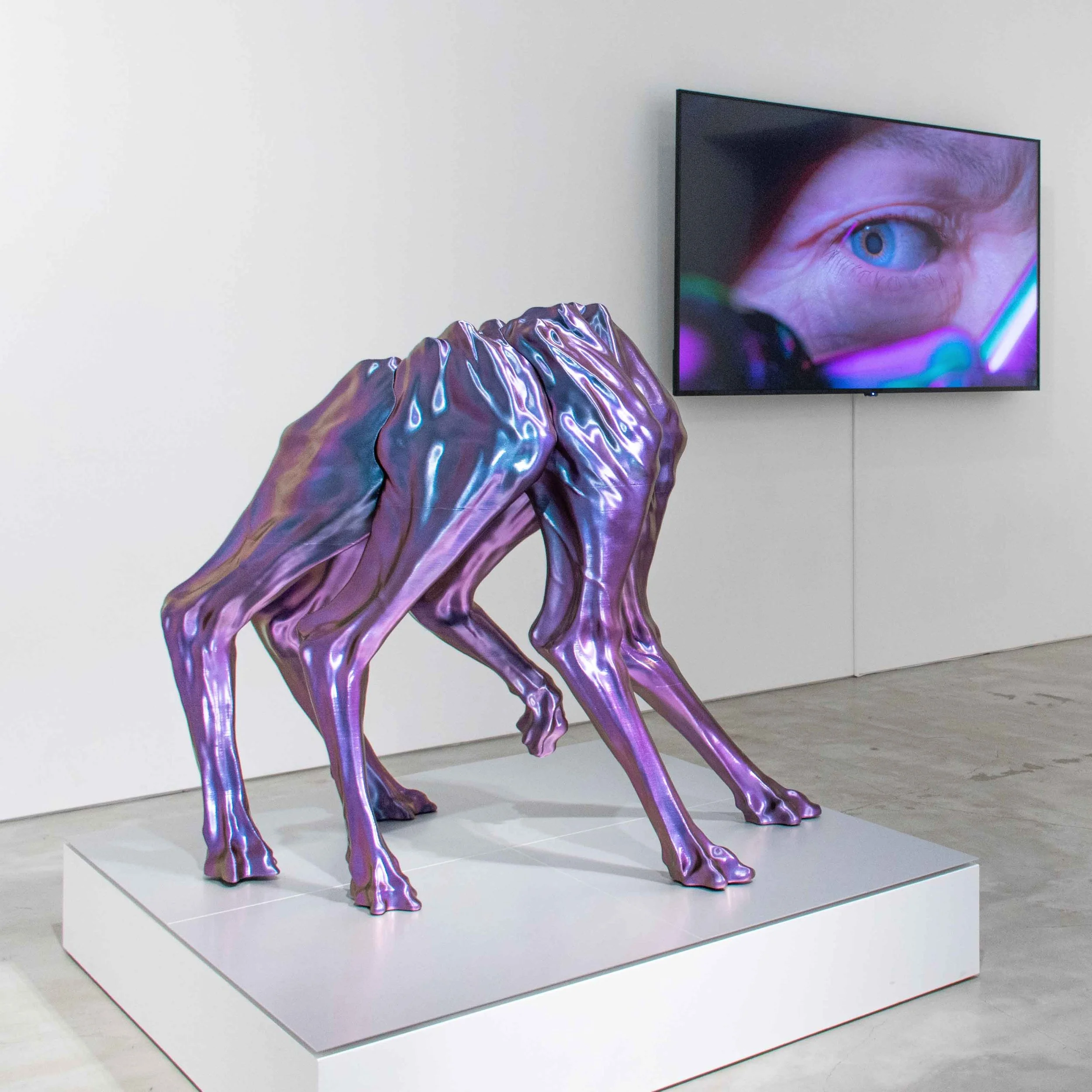 Chimera 1.7_2_LQ.jpg