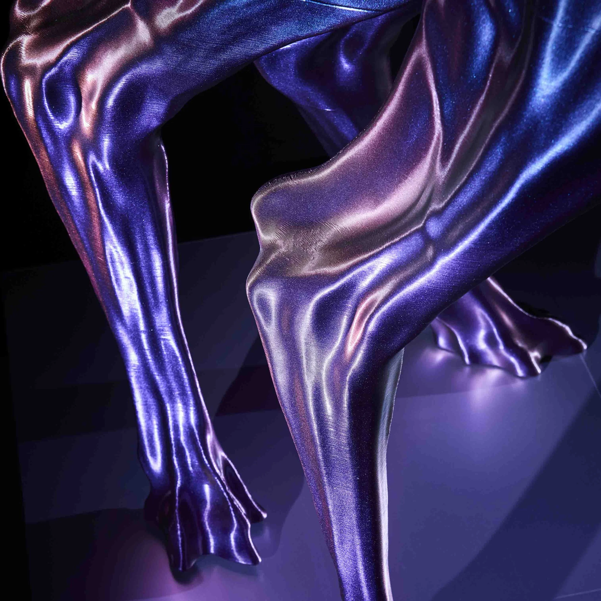 Chimera 1.7_4_LQ.jpg