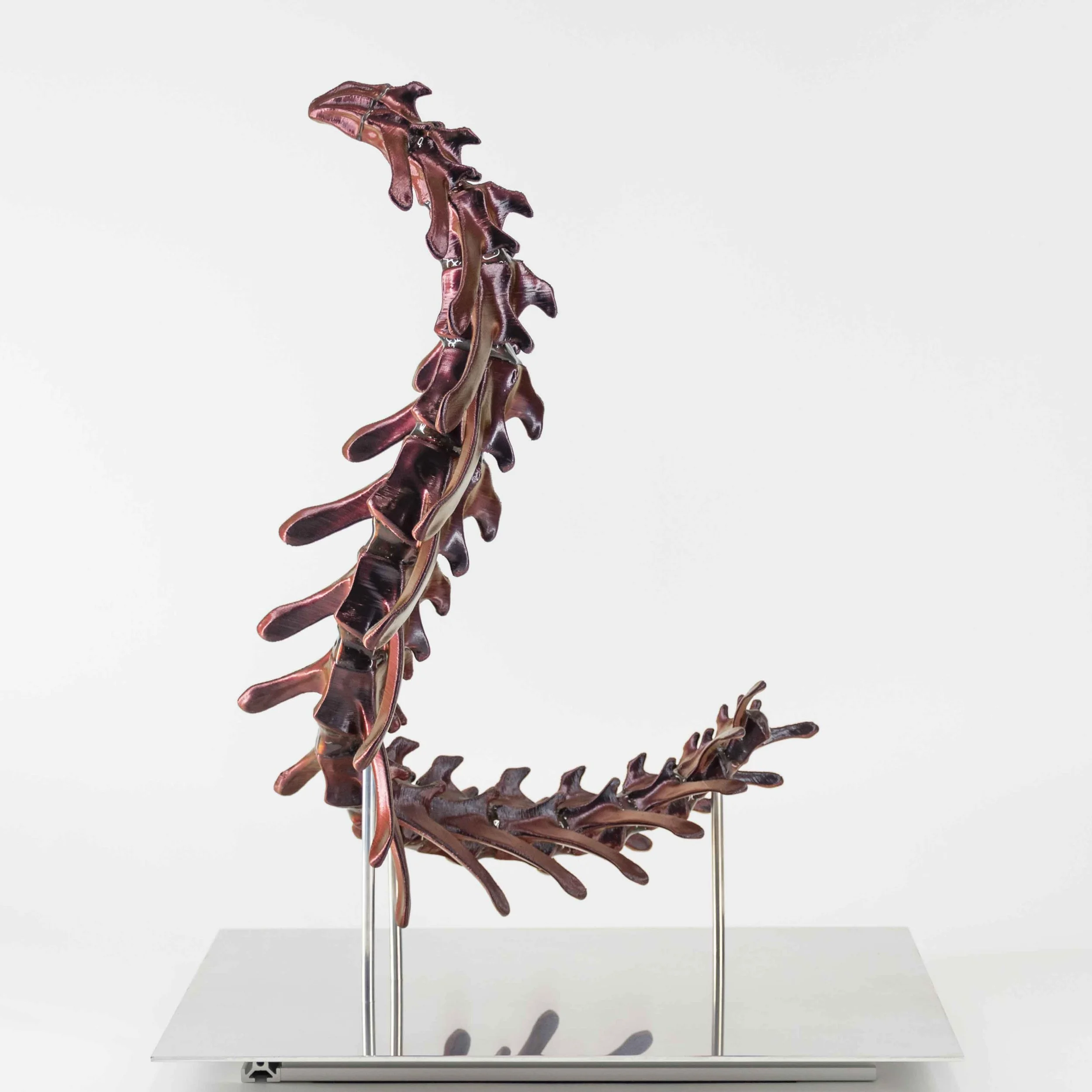 Chimera 3.3_2_LQ.JPG