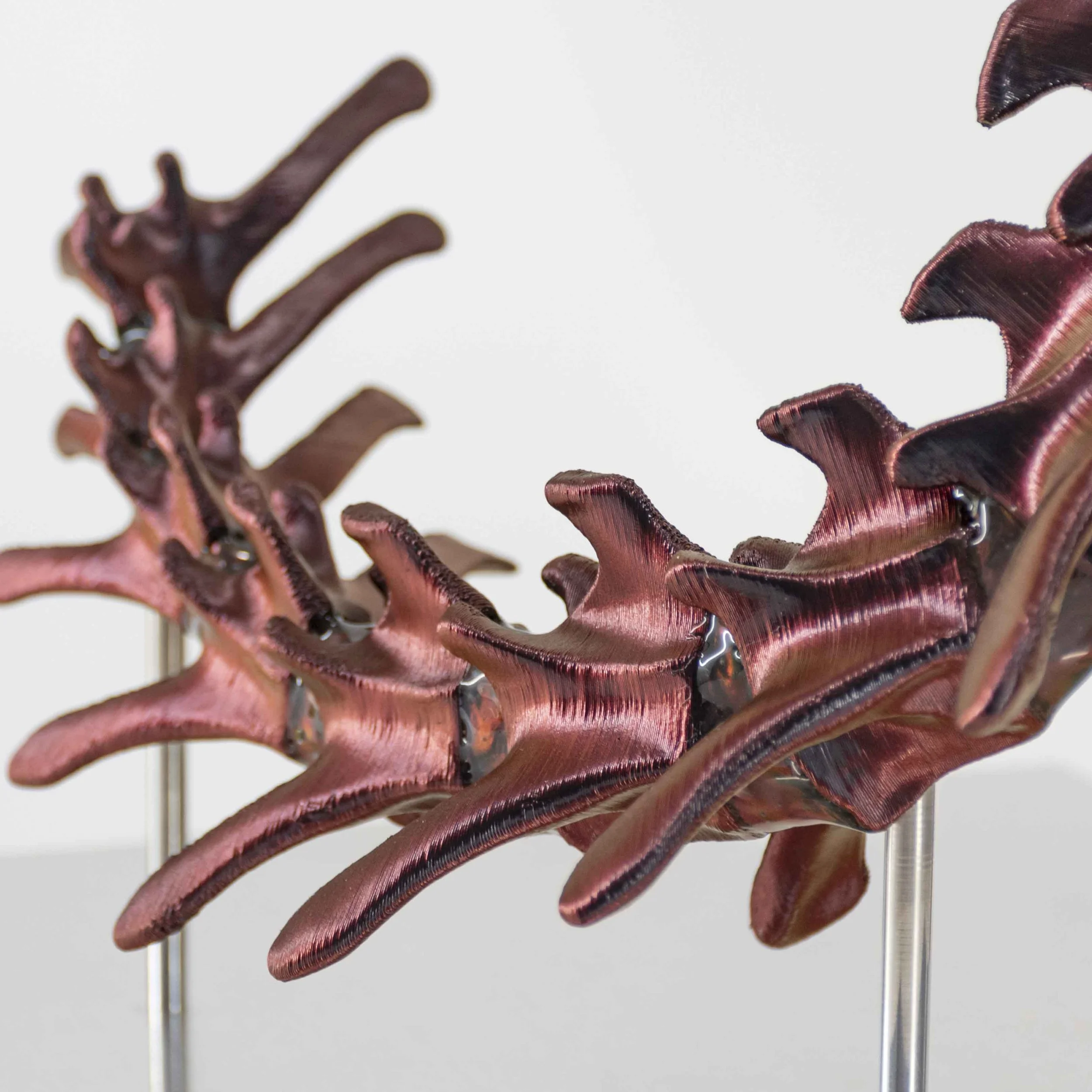 Chimera 3.3_3_LQ.JPG