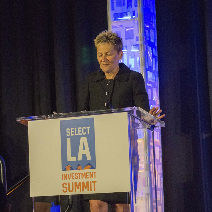 Suzanne Boda : Senior Vice President at American Airlines