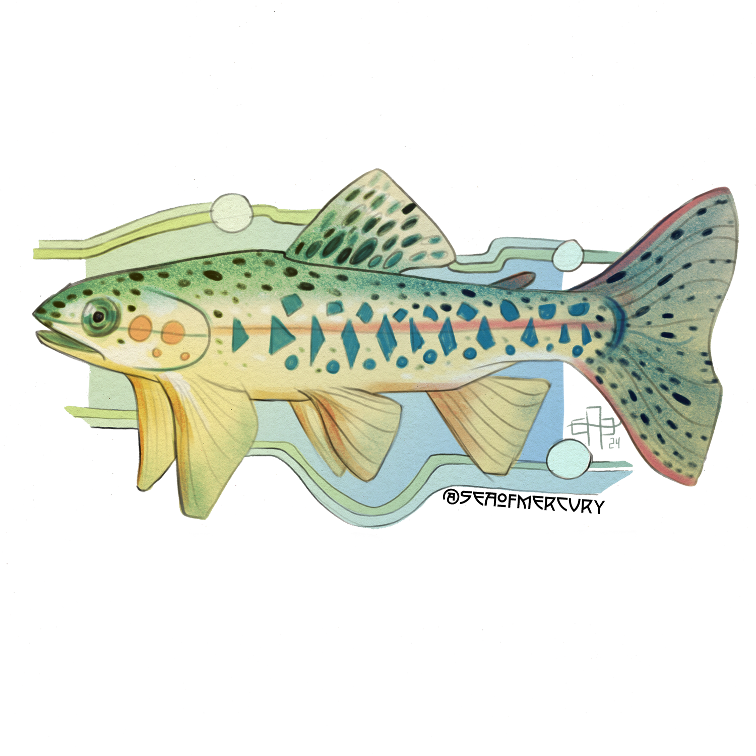 namedrop golden trout.png