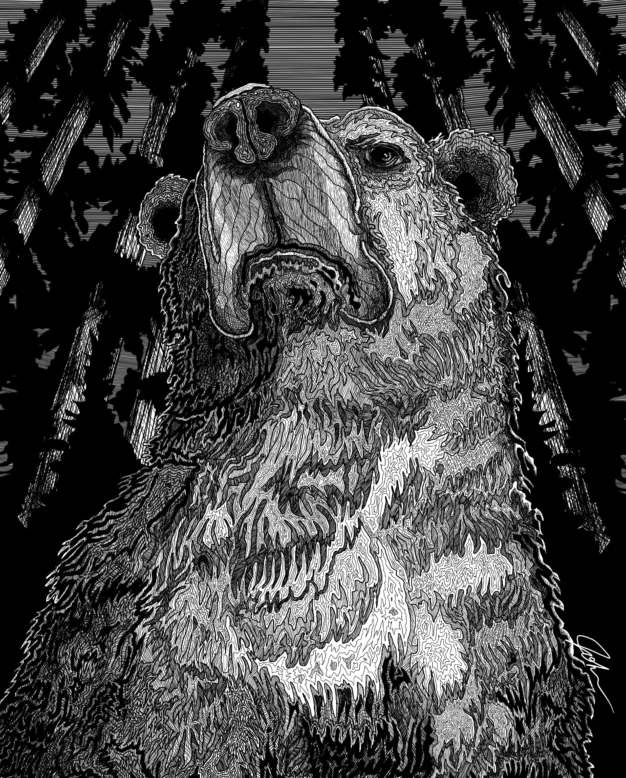 JPG Topographical_Bearing.jpg