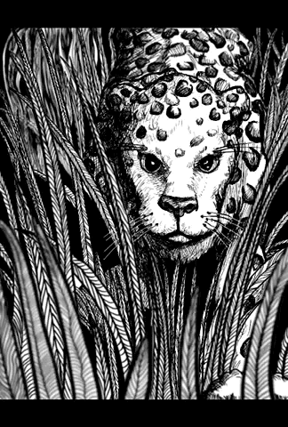 Time-Lapse Art Process