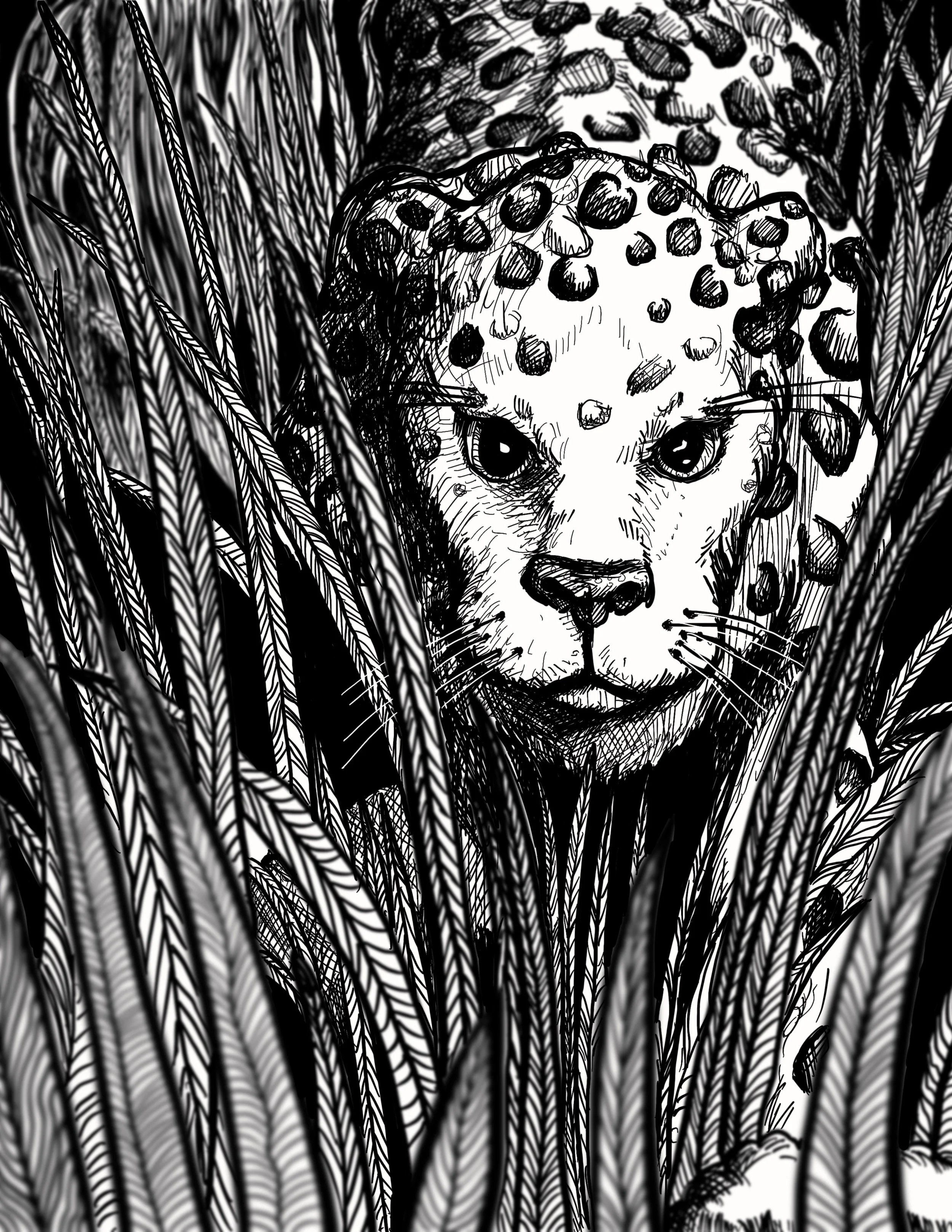 JPG Leopard in the Grass.jpeg
