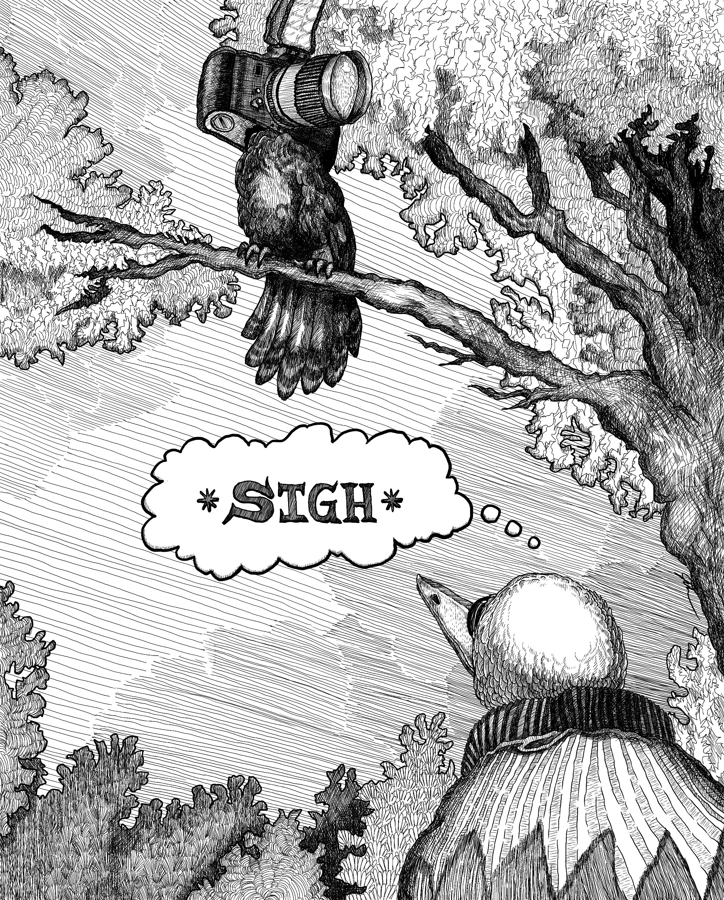 JPG The Birdwatcher.jpg