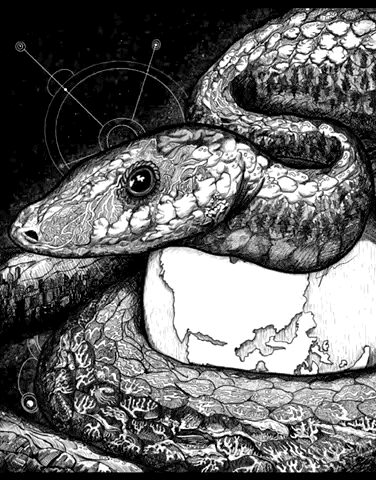 Time-Lapse Art Process