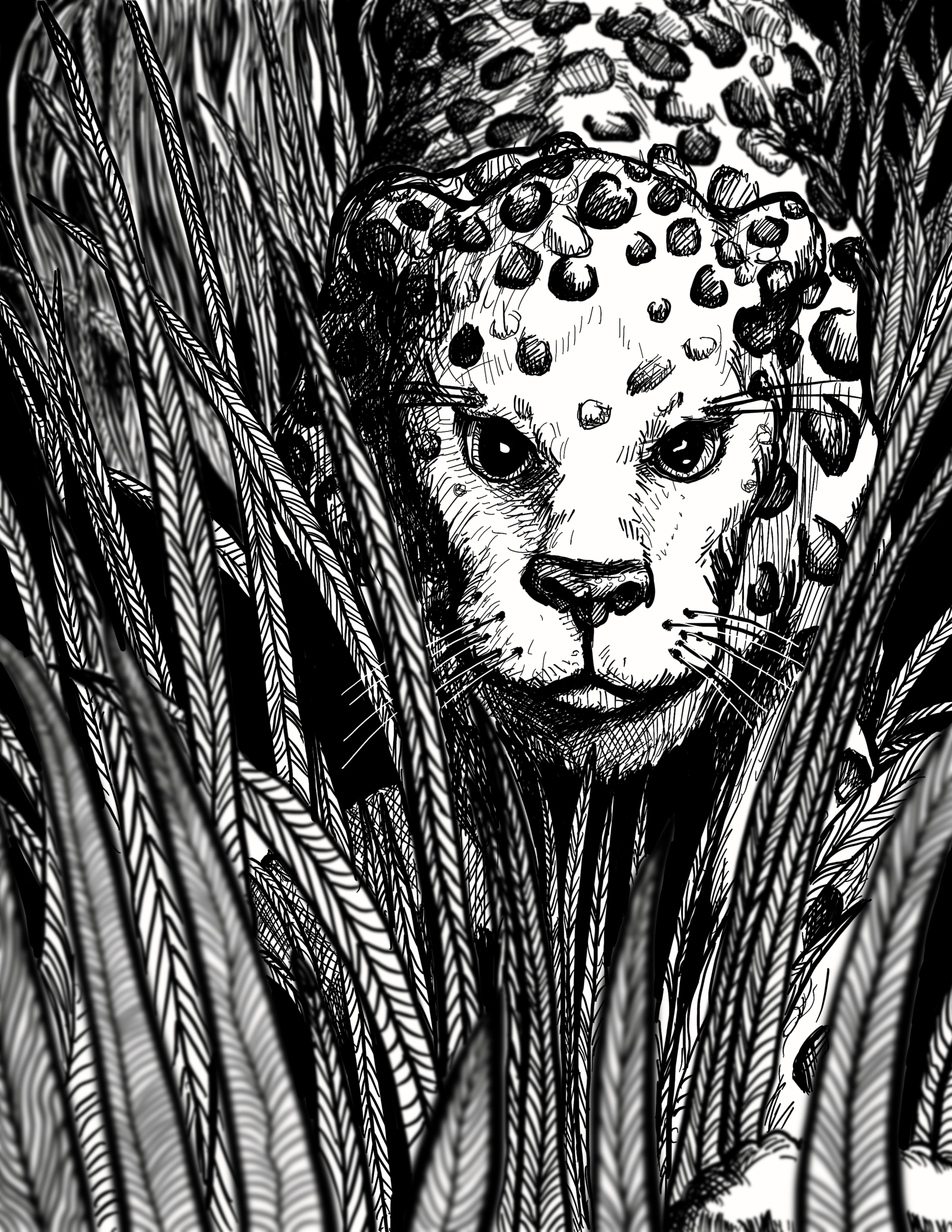 Leopard in the Grass