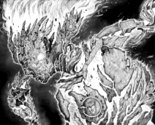 Time-Lapse Art Process