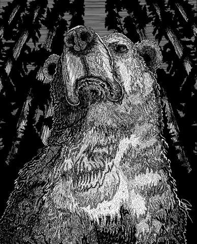 Time-Lapse Art Process