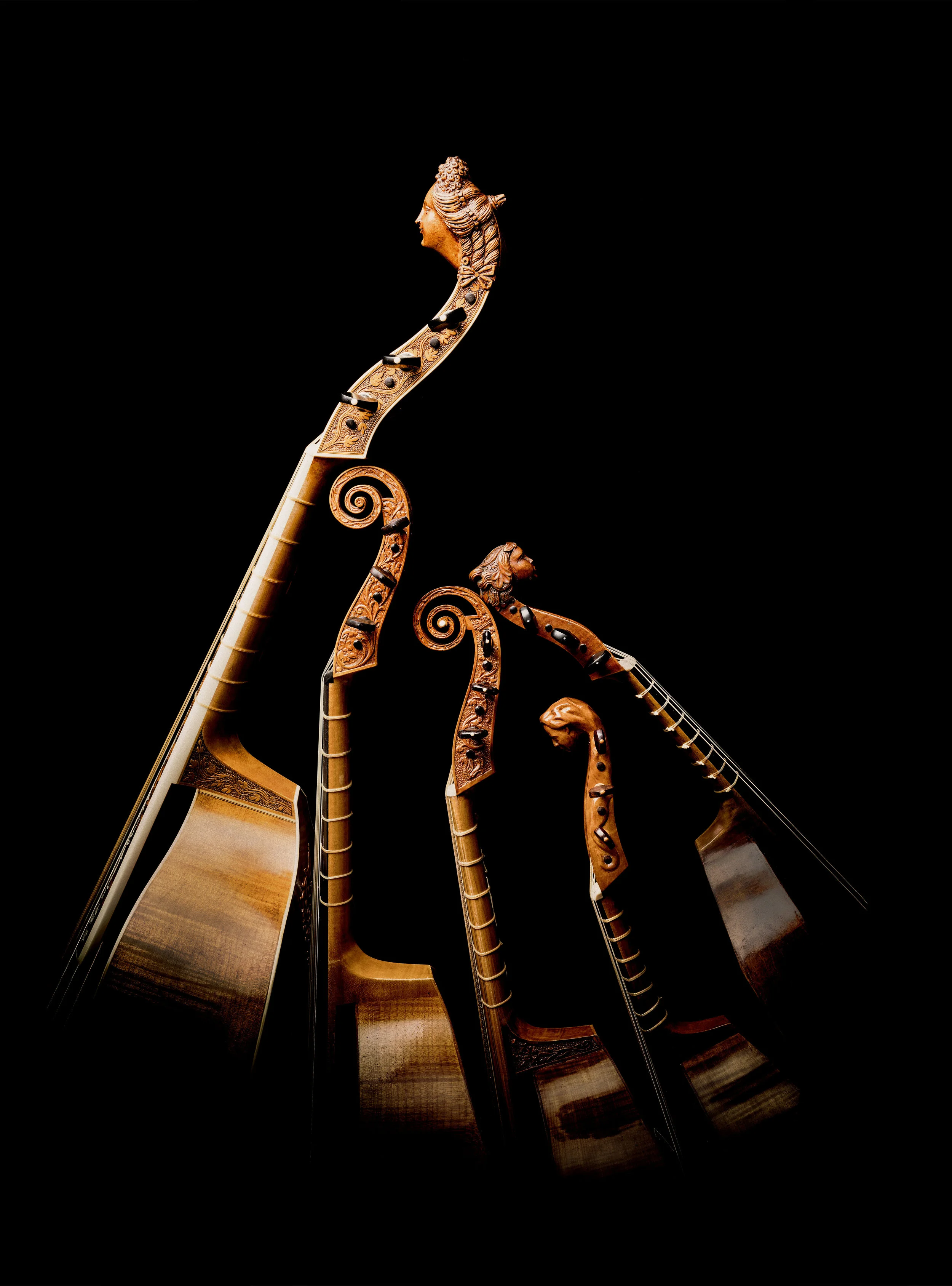 Gamba002.jpg