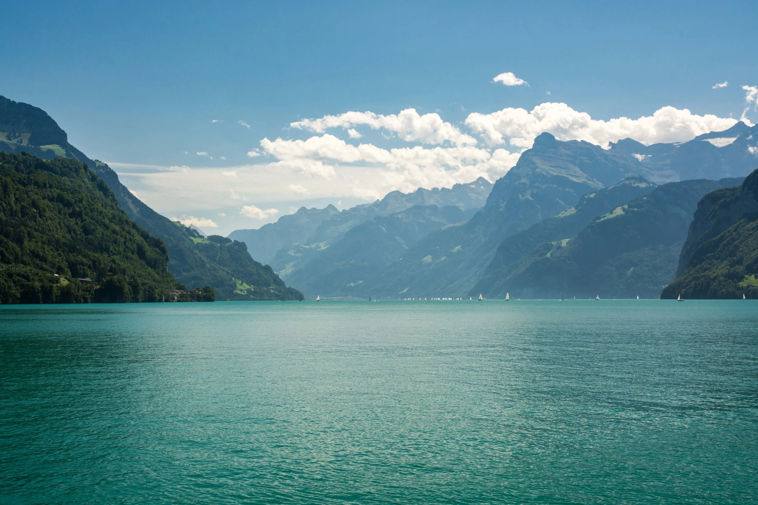 Segeln-Vierwaldstättersee.jpg