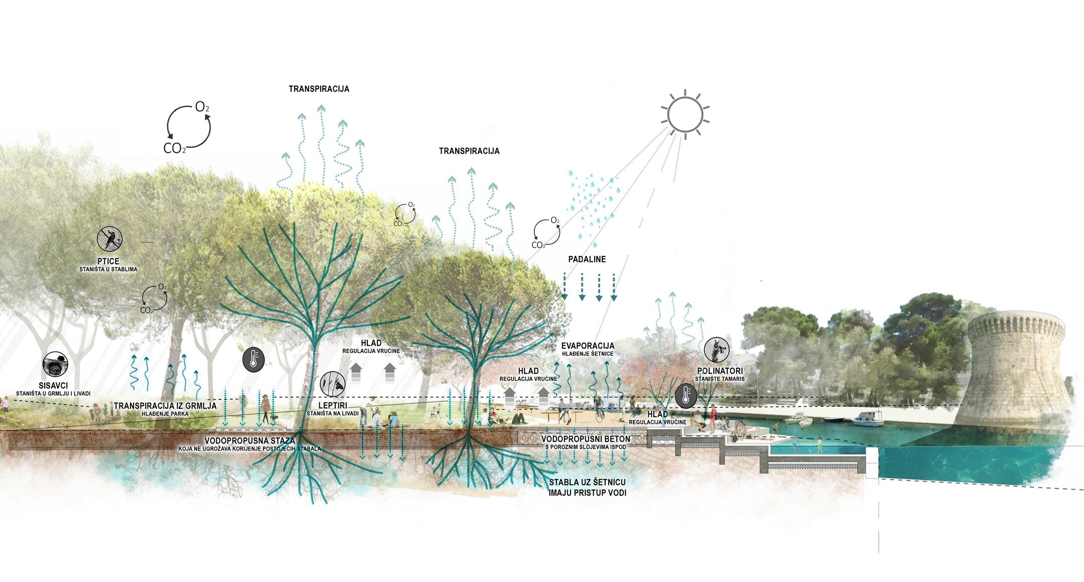 1st prize in a competition for the redevelopment of Soline and Travarica area in Trogir, with Stanislava Odrljin @stanaodrljin and Carla Coromina Cabeceran

Author: MVA/Mikelić Vre&scaron; Arhitekti; Studio SOL (landscape) Project team: Marin Mikelić