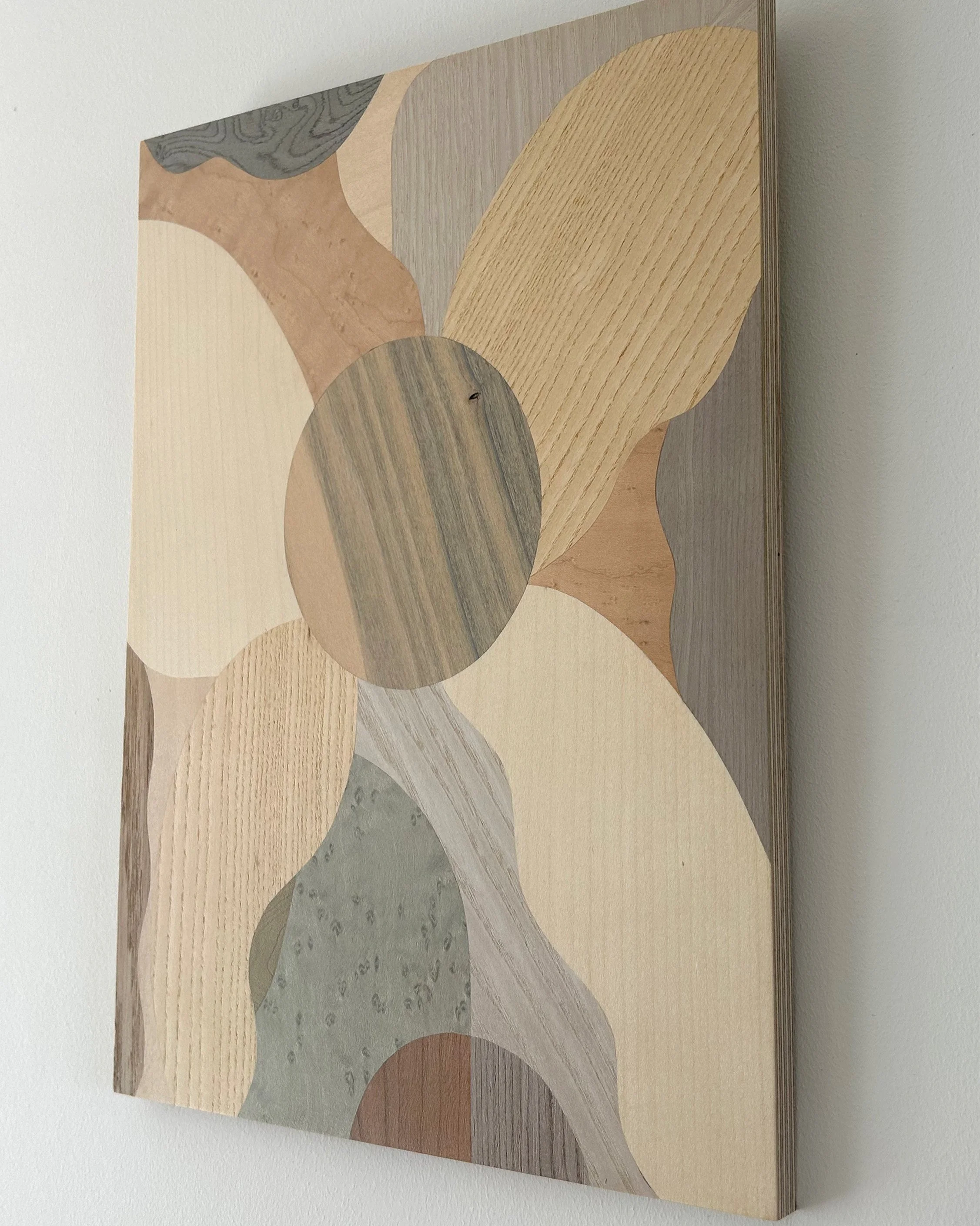 Copy of A Flower Close Up 2.jpg