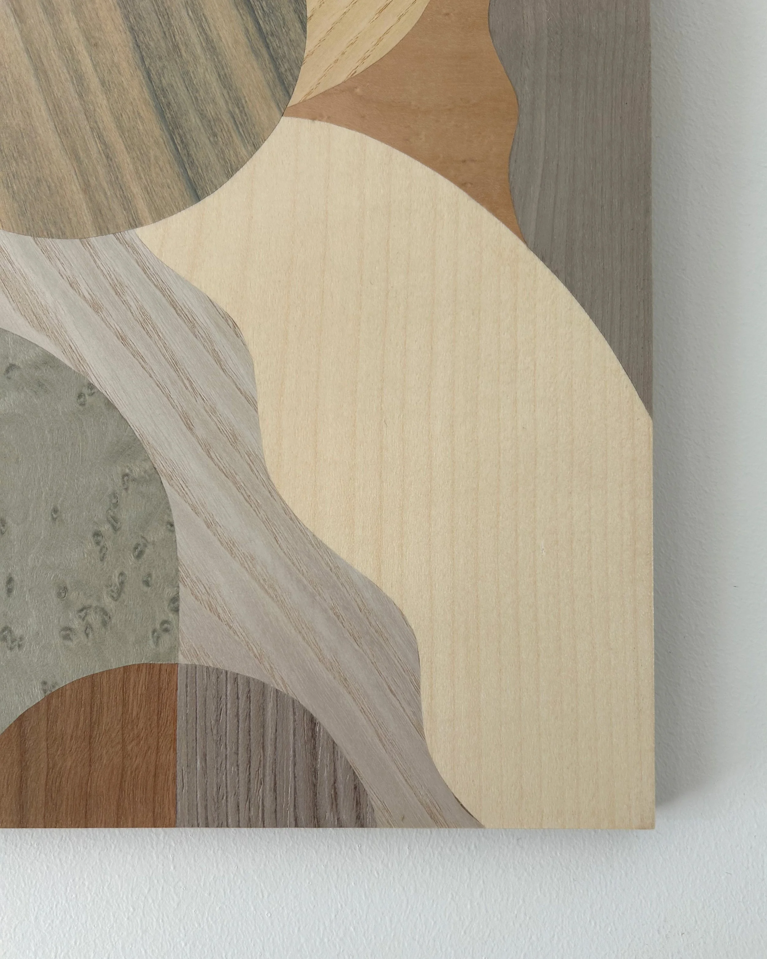 A Flower Close Up.jpg