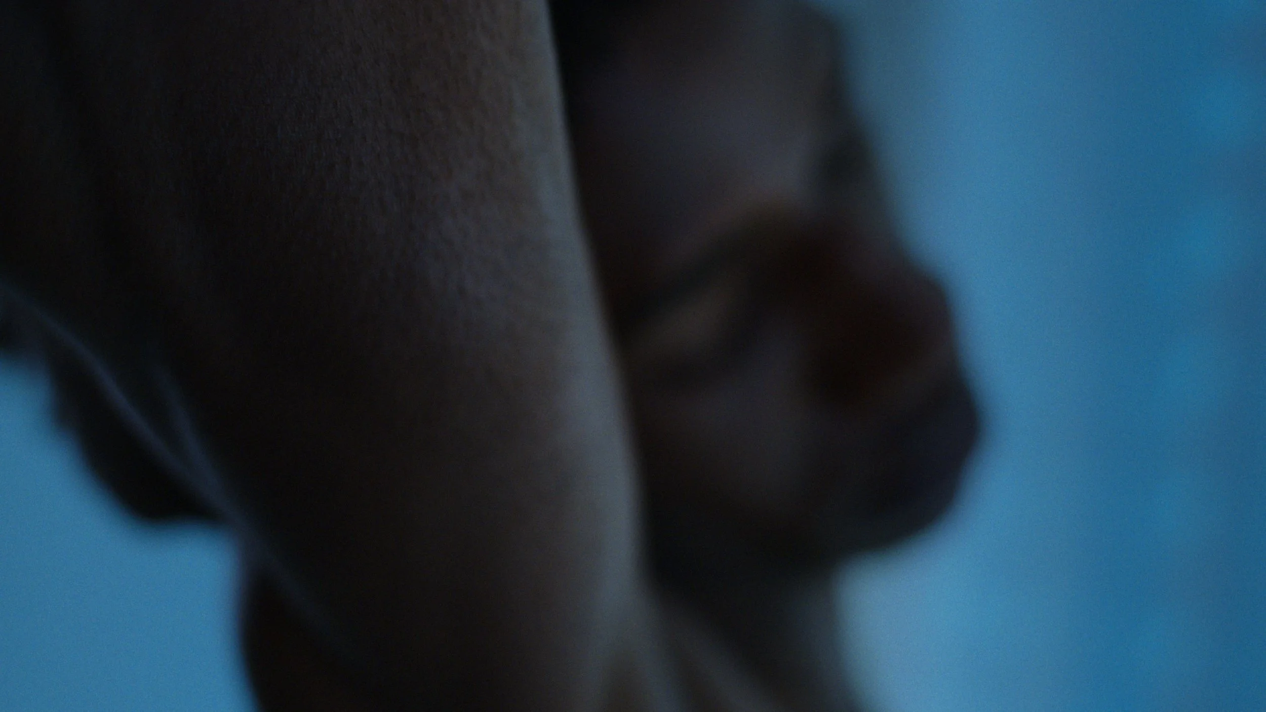 Still 2025-10-12 173510_2.11.2.jpeg