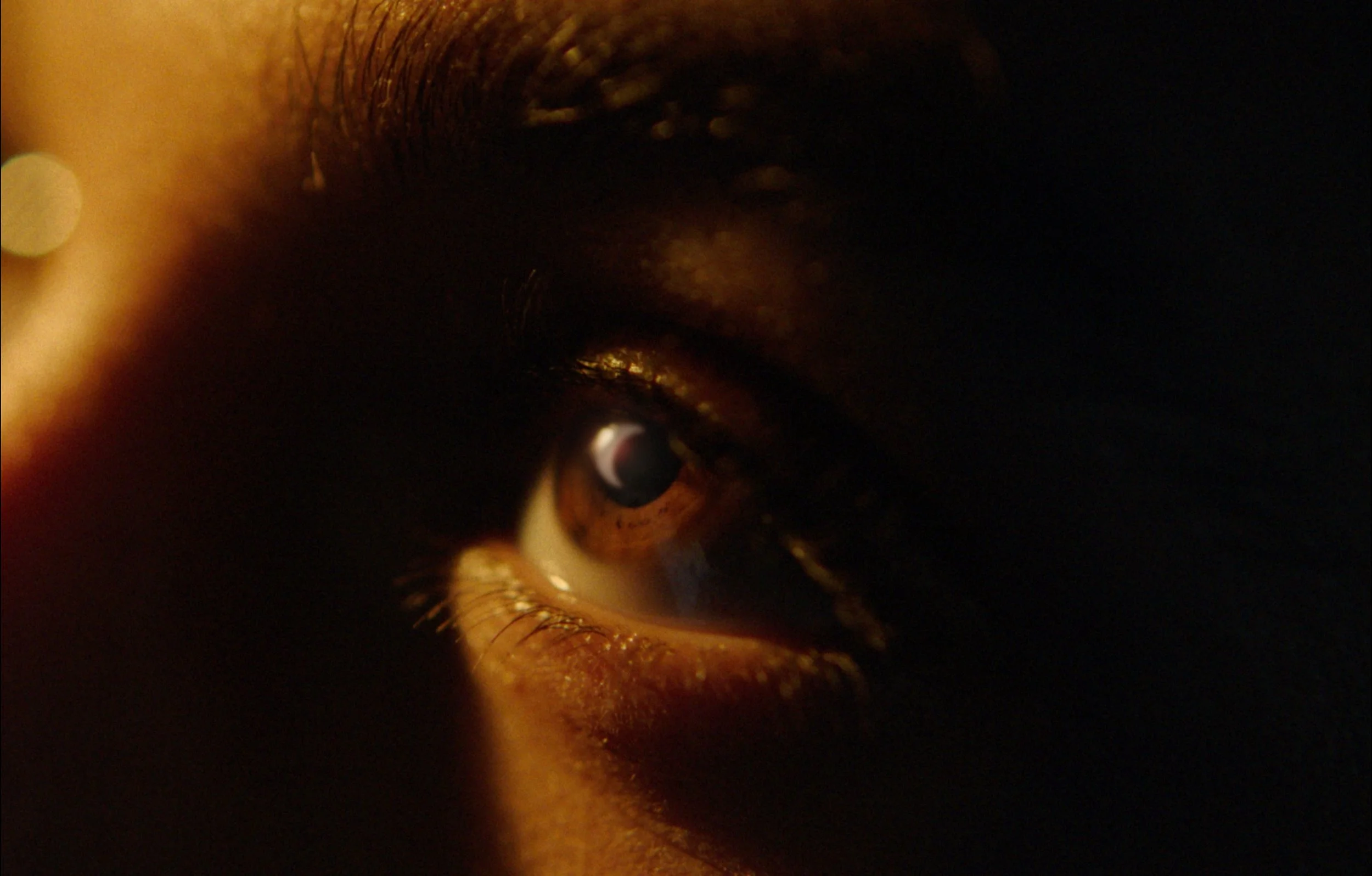 Captura de Pantalla 2026-03-31 a les 20.40.jpeg