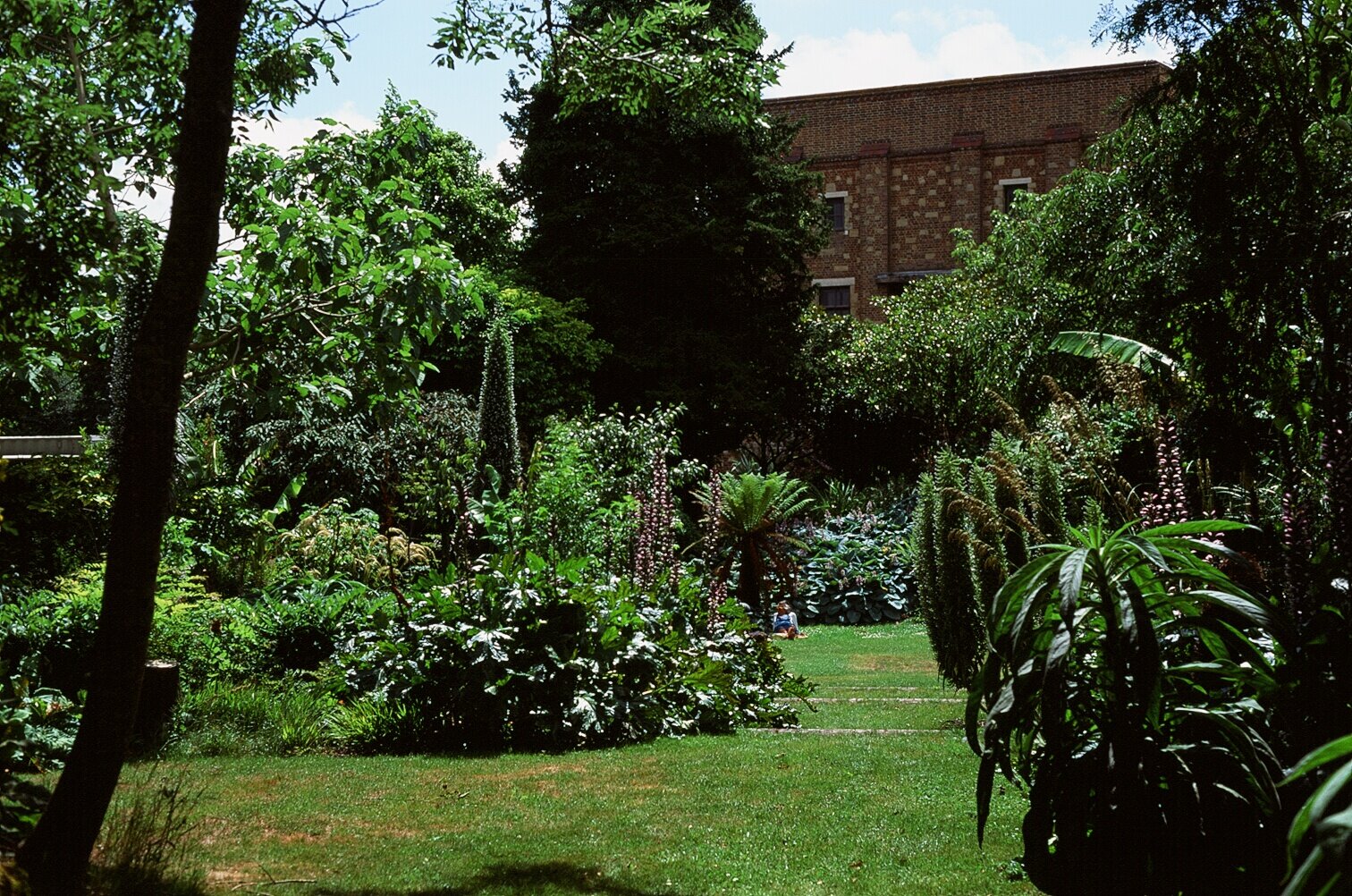 Tropicals in The Bourne Garden