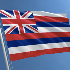  Celebrate the Rulings for Public Health this Week, and Then, GO VOTE!!!