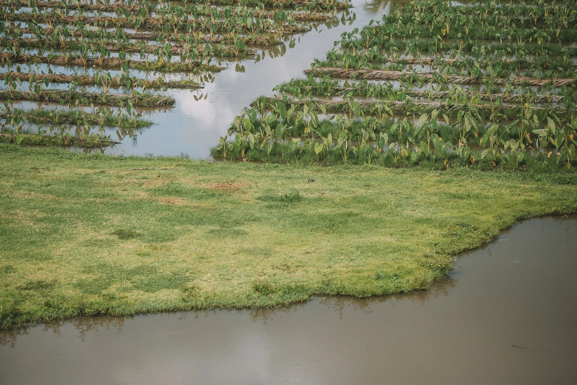 Legislative Update: Which Good Food and Agriculture Bills Are Still Alive?