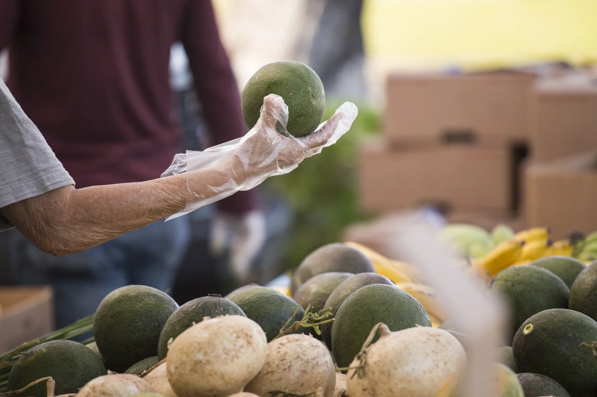 Several Good Food and Regenerative Ag Bills Signed Into Law!