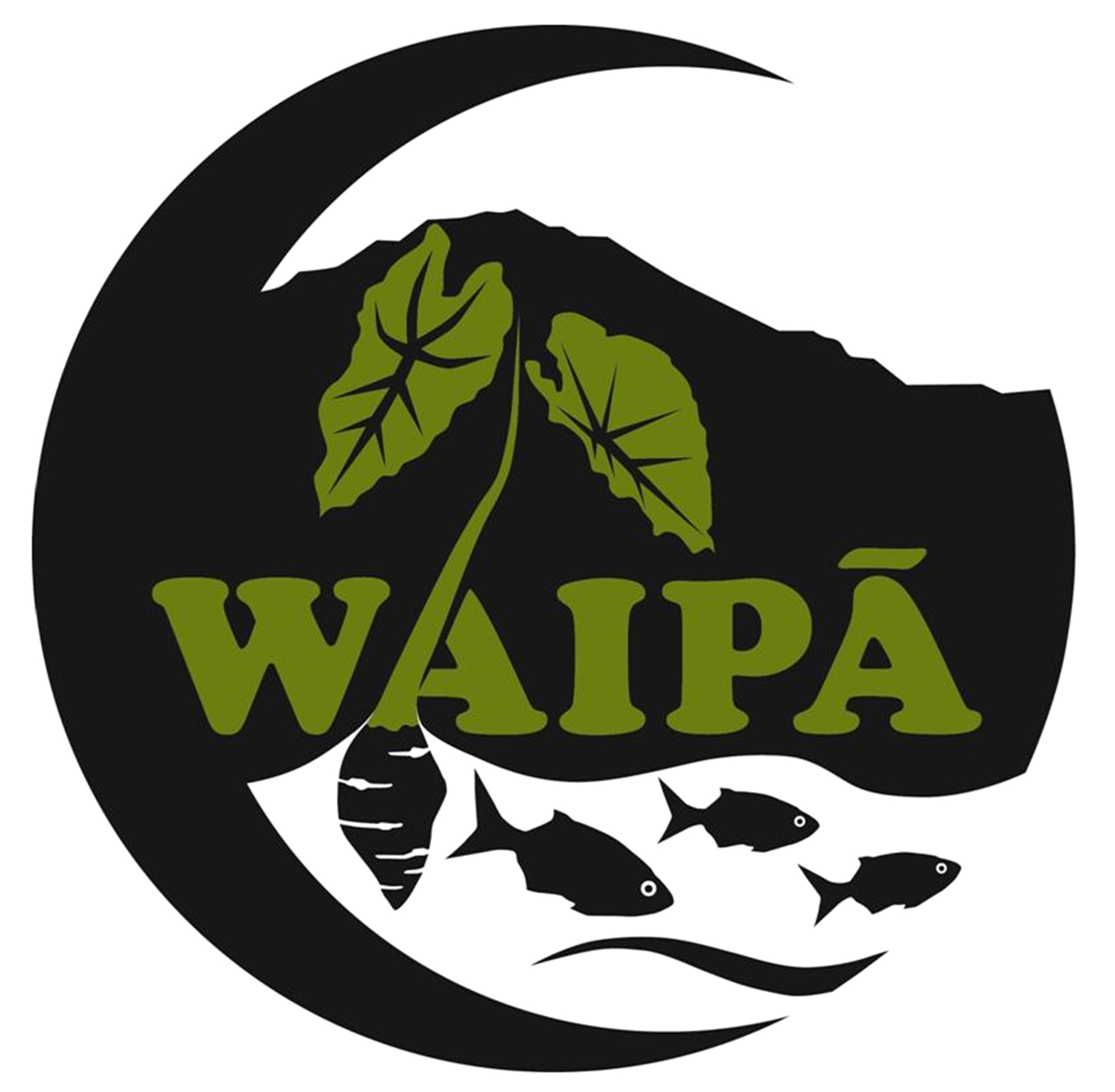 Waipa Logo.png