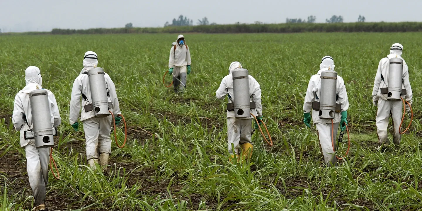 Our Take on the Recent Supreme Court Ruling in Favor of Bayer AG