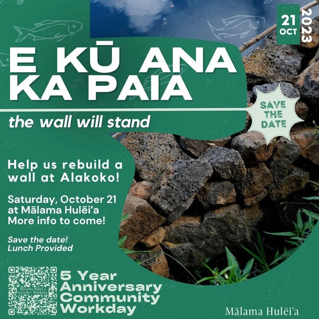 Mālama Hūleiʻa 5 year Anniversary! — HAPA Hawai'i Alliance for