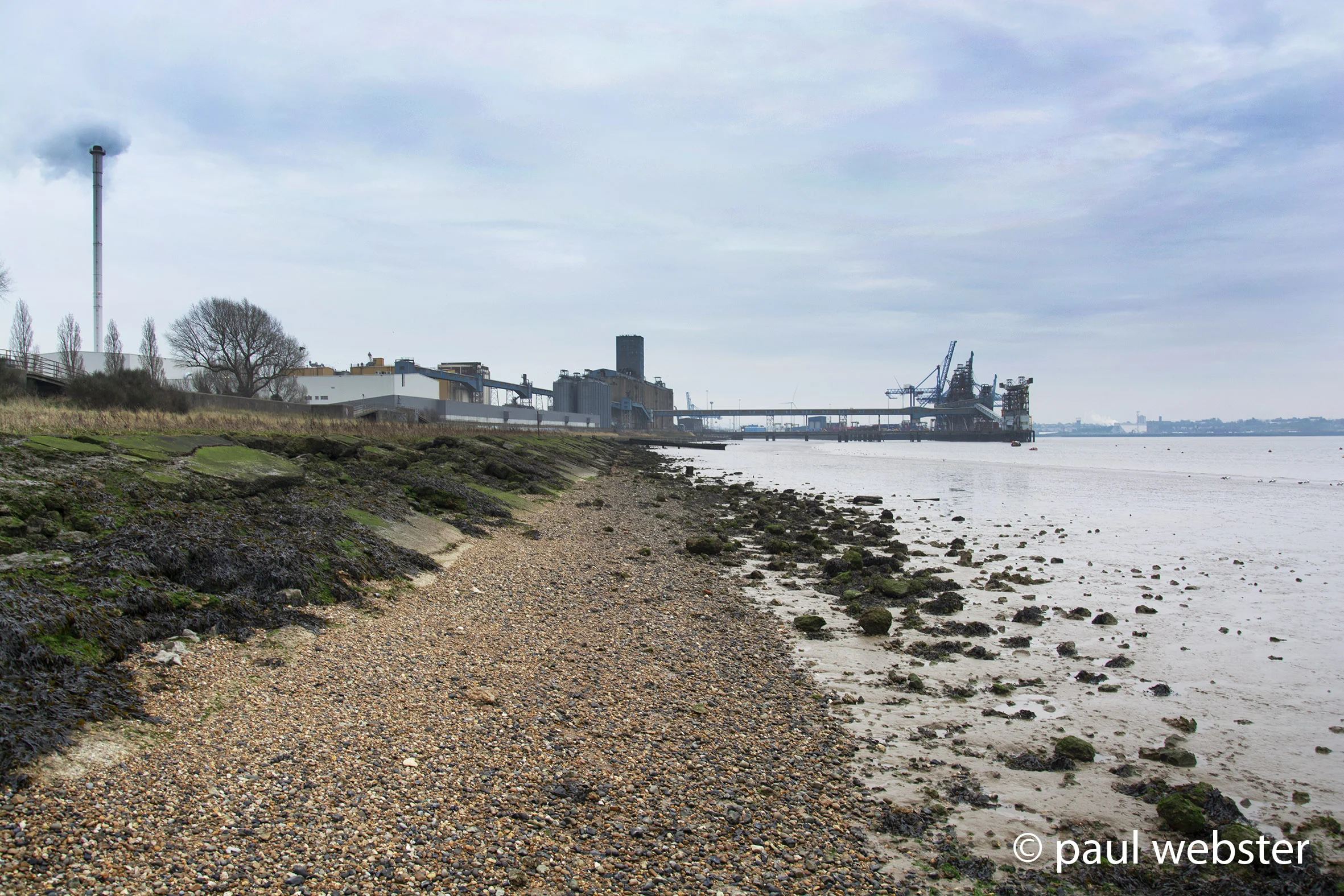 Tilbury Grain terminal on the shore of the Thames 2018
