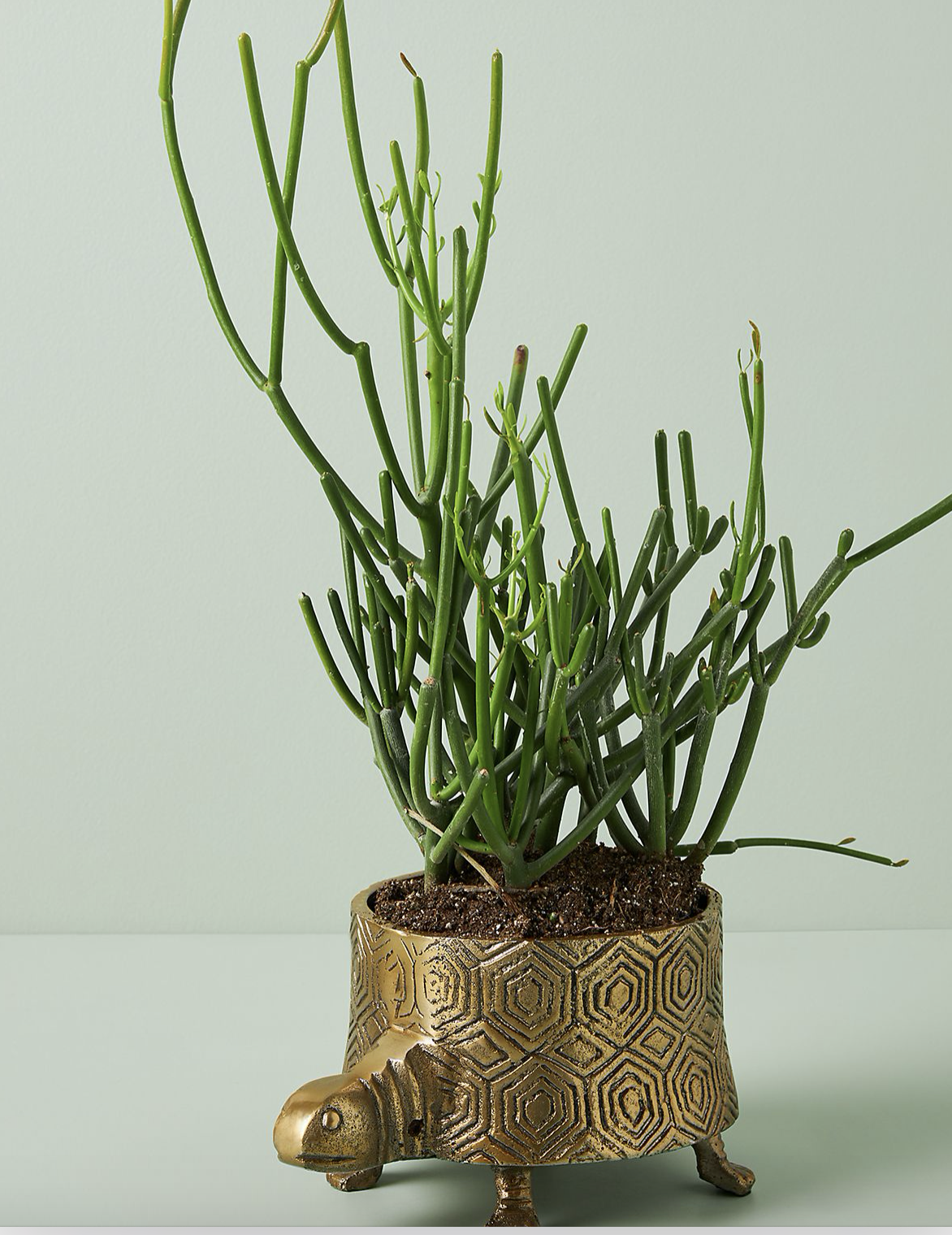 April Favorite Things