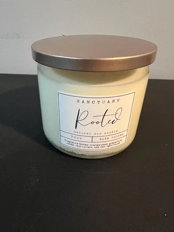 3 Wick Rooted Candle