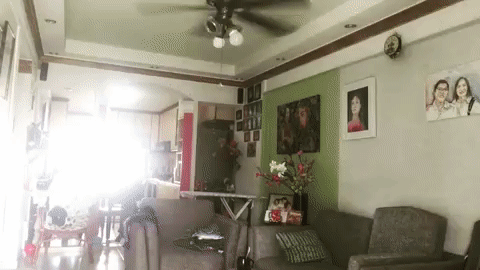 My hobbies include editing videos to entertain myself and my friends.