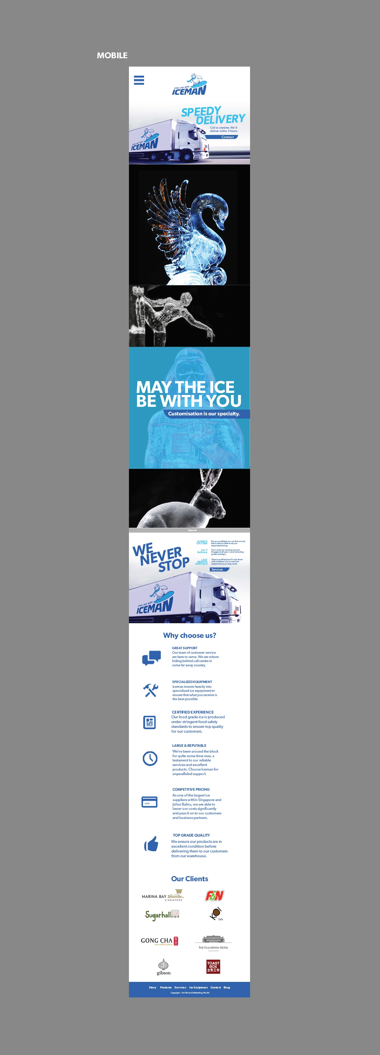 0Aerielle_Iceman website_Page_2.jpg