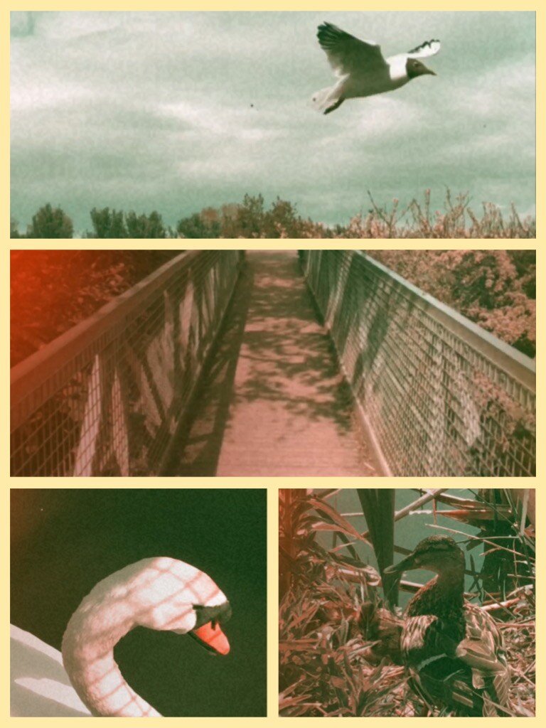 Image-2.jpeg