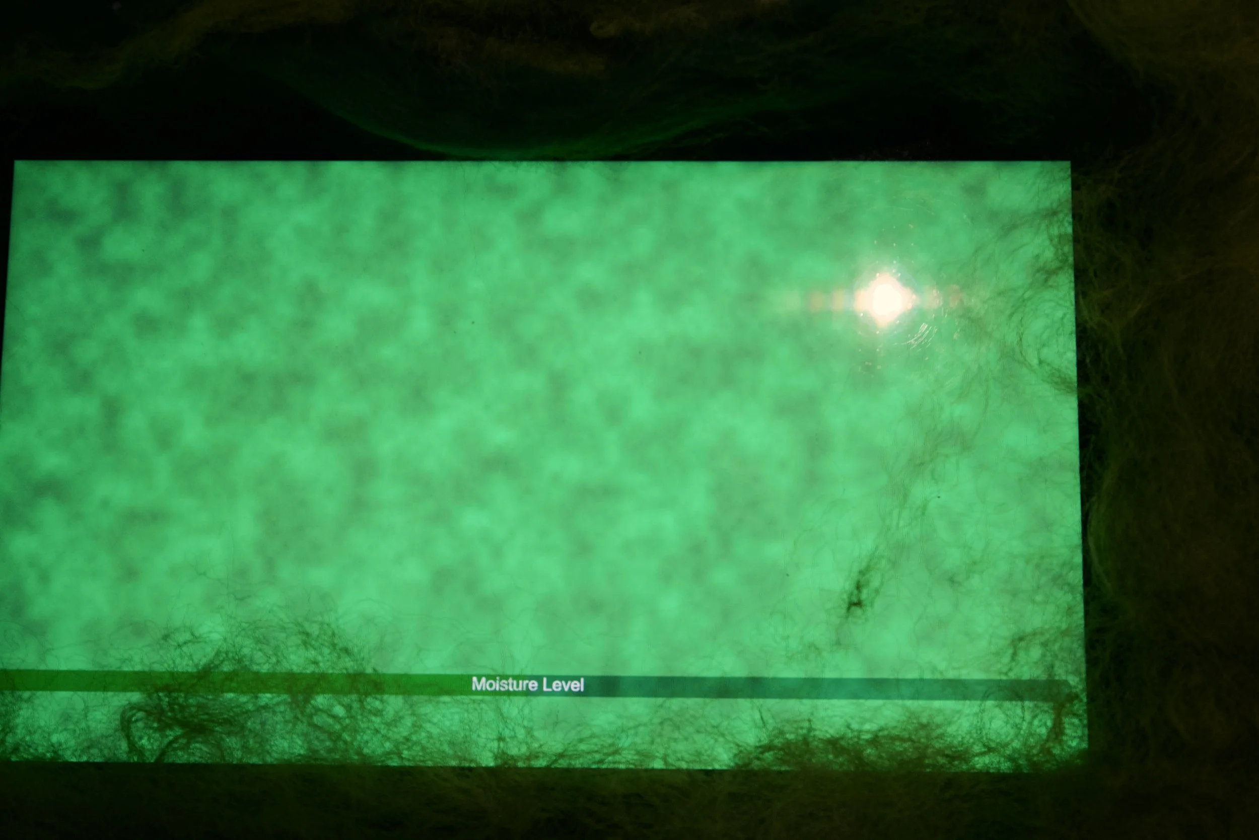 DSC01282.jpeg